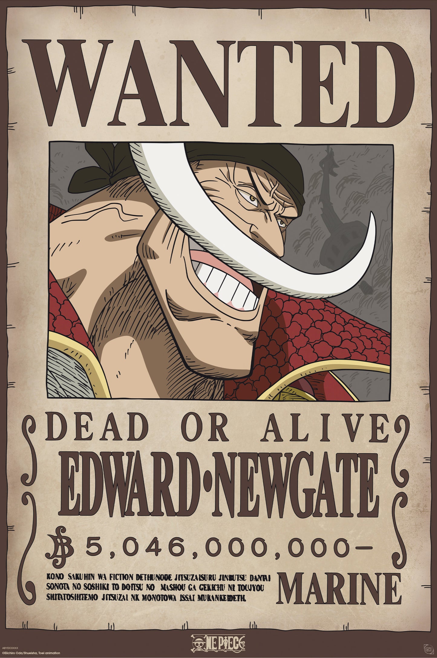 Poster One Piece - Wanted Whitebeard 61x91,5cm