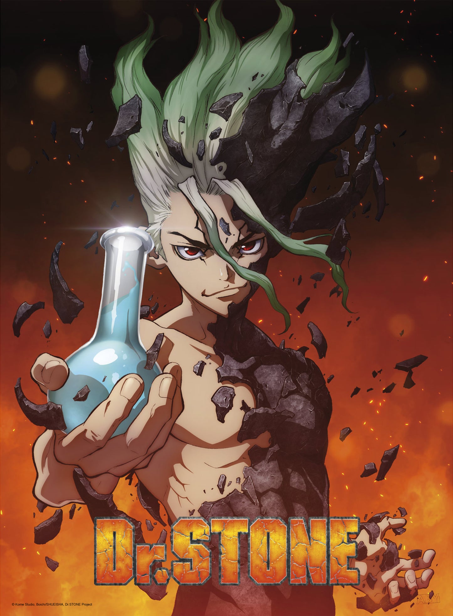 Poster Dr Stone - Senku 38x52cm