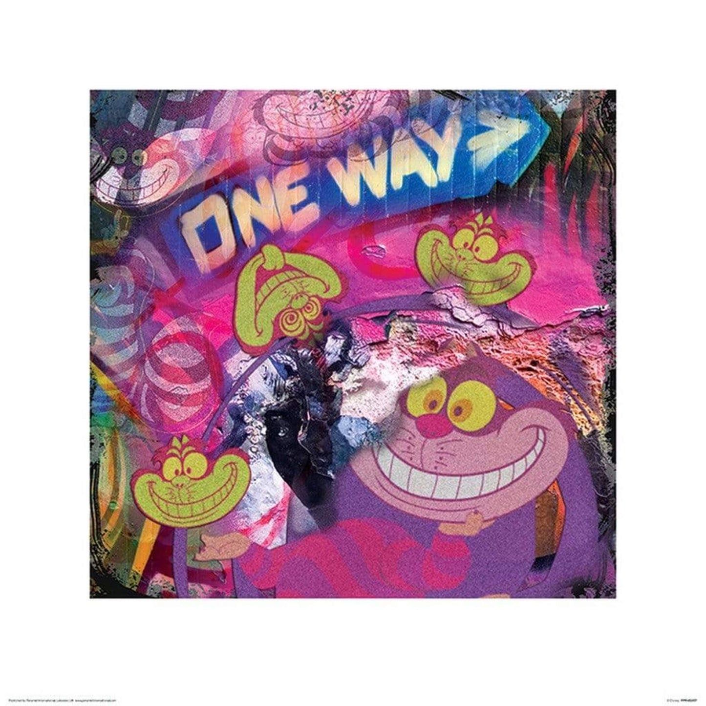 Kunstdruk The Cheshire Cat - Graffiti 40x40cm