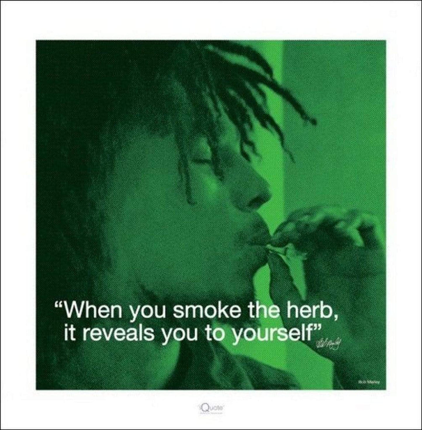 Kunstdruk Bob Marley - iQuote Herb 40x40cm