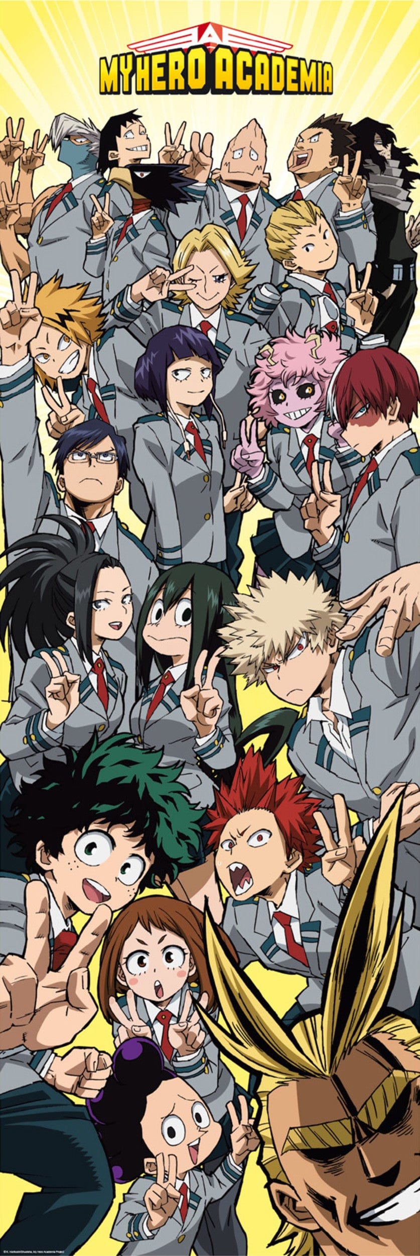 Abystyle My Hero Academia Door Poster Classroom Poster 53X158cm | Posters.nl