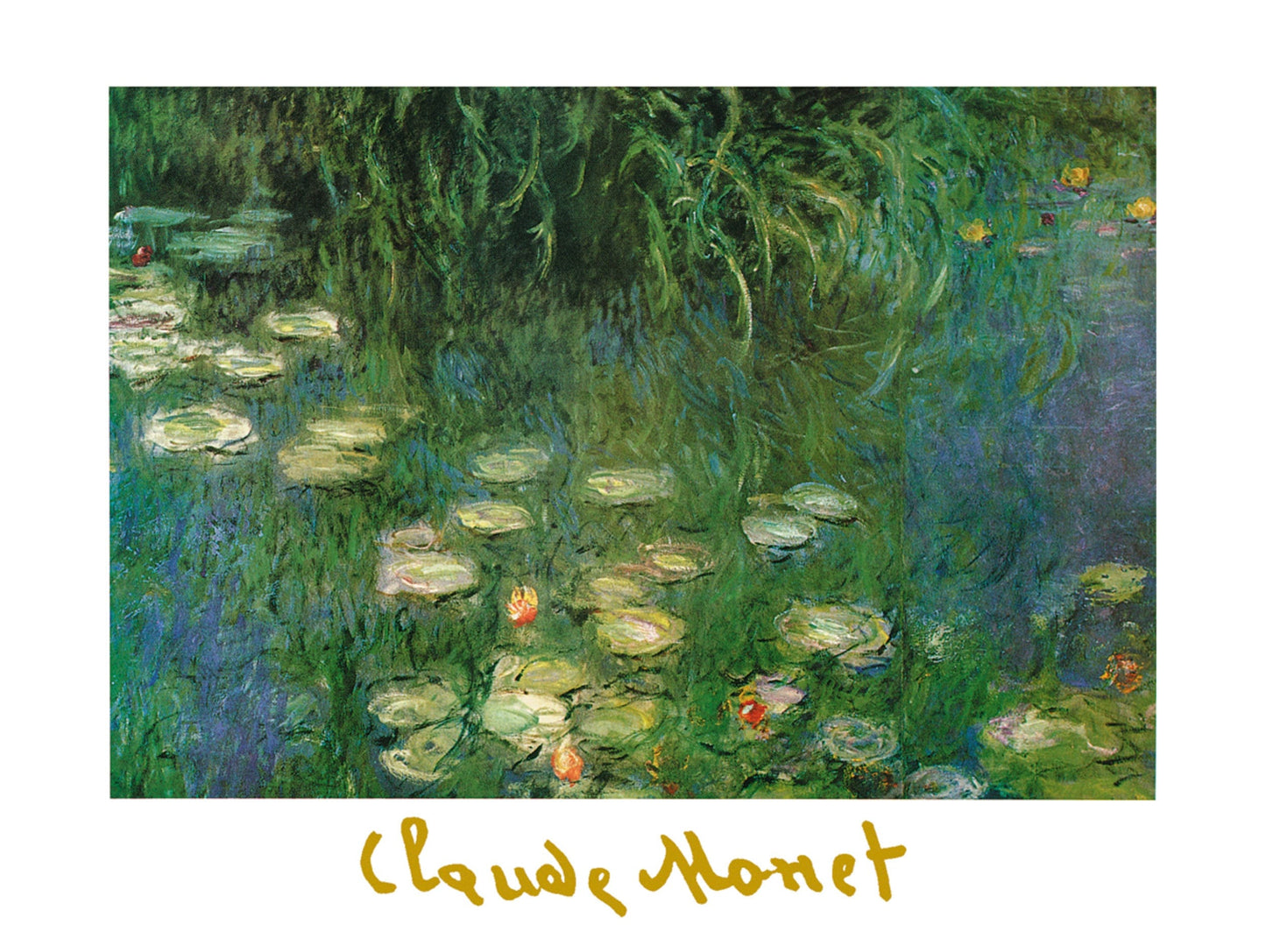 Claude Monet  Ninfee dell'Orangerie Kunstdruk 80x60cm | Posters.nl