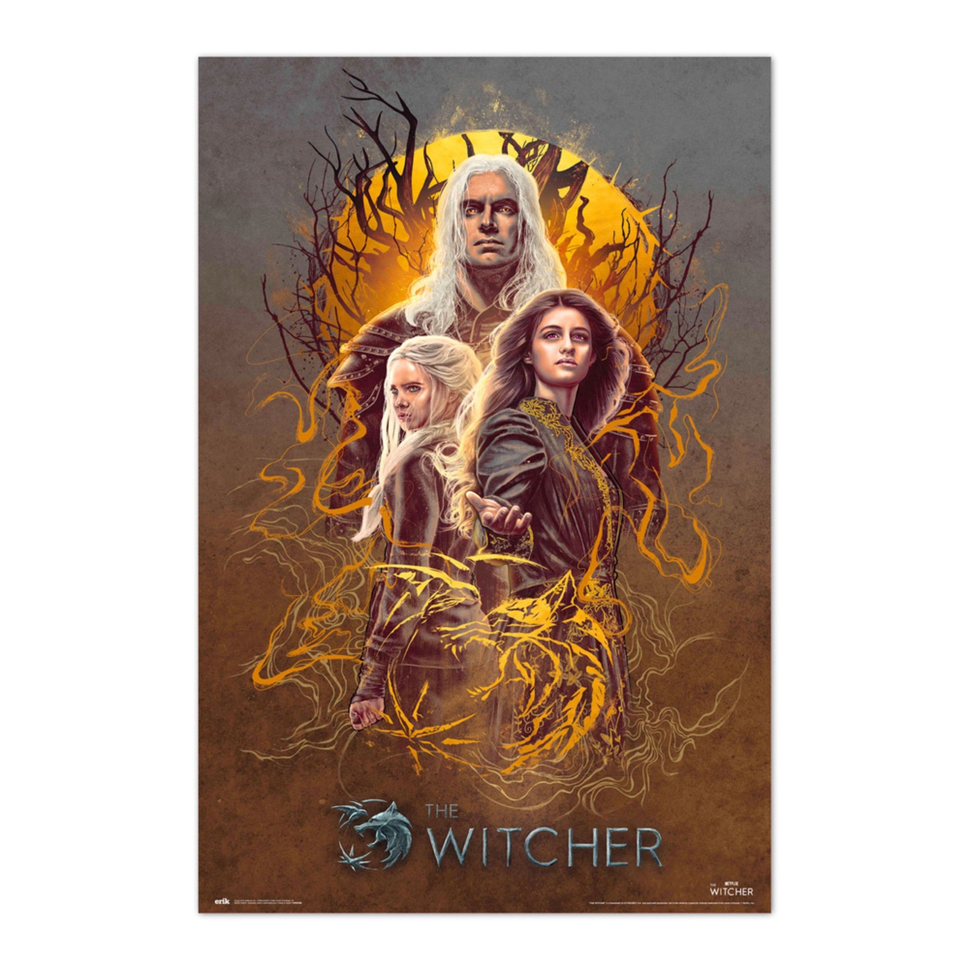 Grupo Erik Gpe5586 Poster The Witcher 2 Grupo | Posters.nl