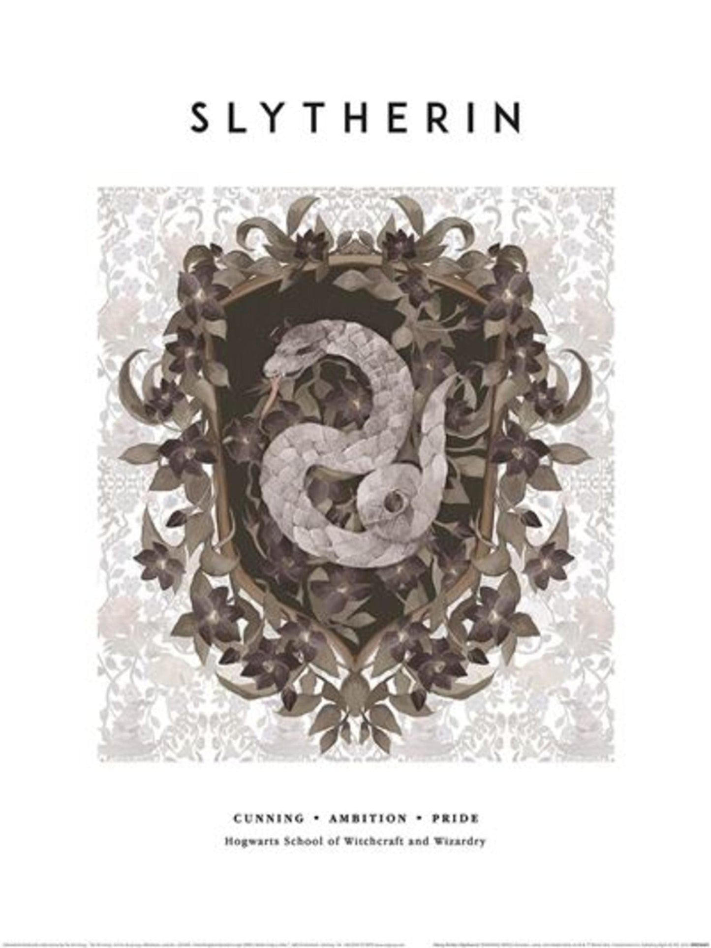 Kunstdruk Harry Potter Slytherin 30x40cm Pyramid PPR54401 | Posters.nl