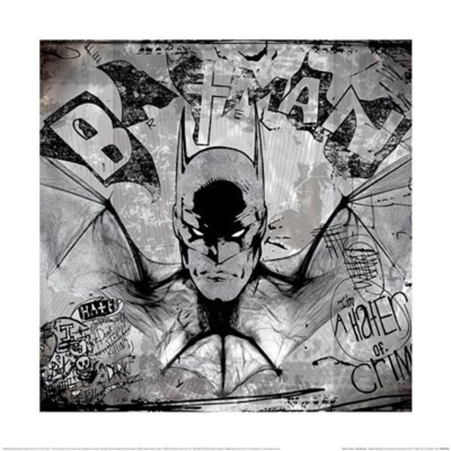 Kunstdruk Wb100 Batman Hater Of Crime 40x40cm Pyramid PPR55139 | Posters.nl