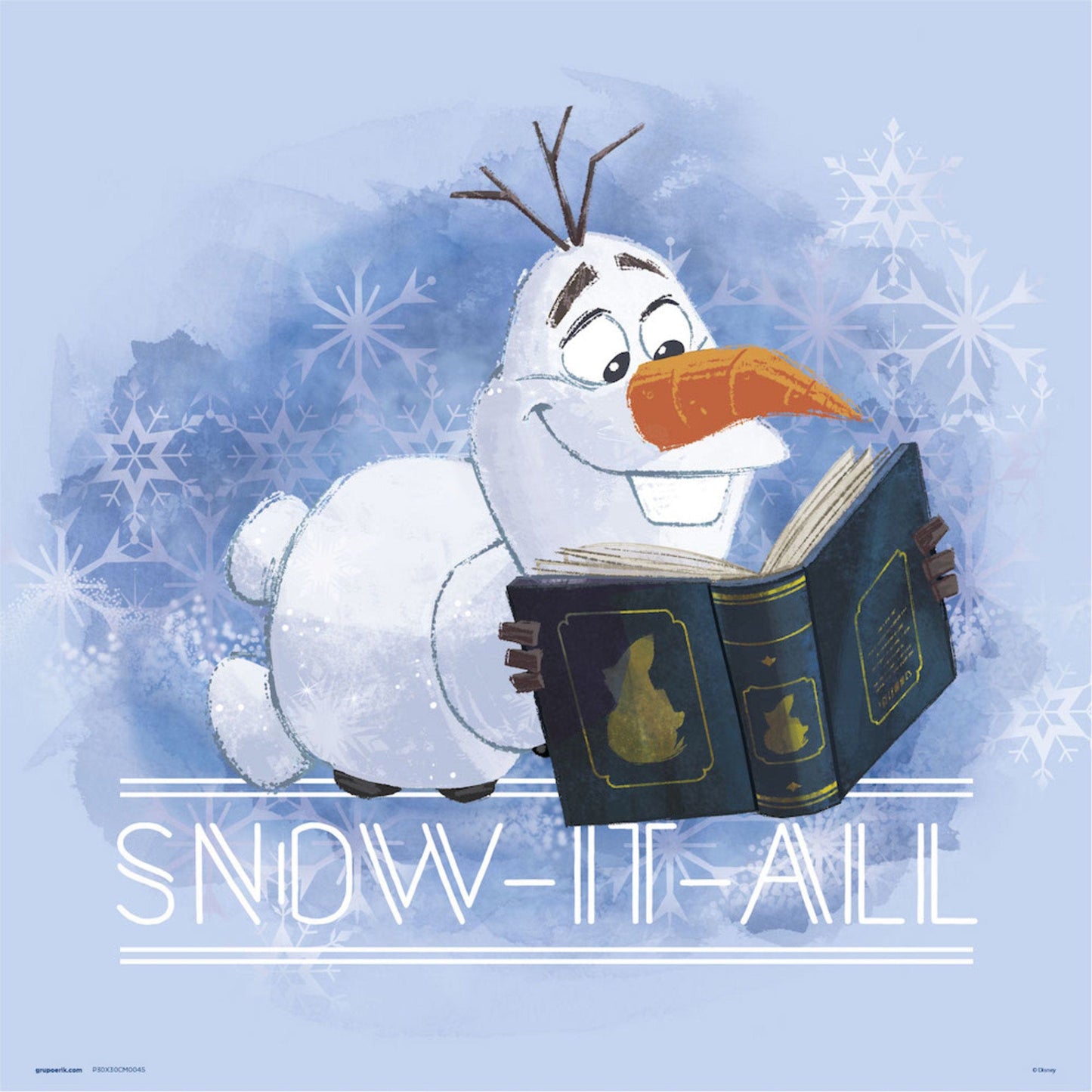 Grupo Erik Frozen In My Natural Element Kunstdruk 30X30cm | Posters.nl