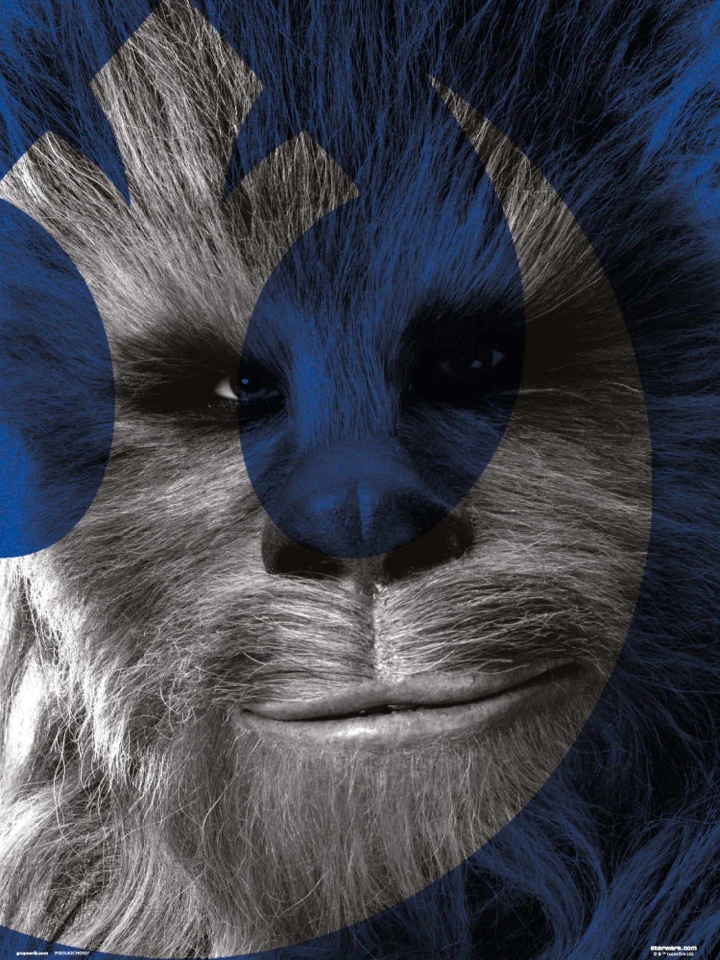 Grupo Erik Star Wars Episode Ix Chewbacca Kunstdruk 30X40cm | Posters.nl