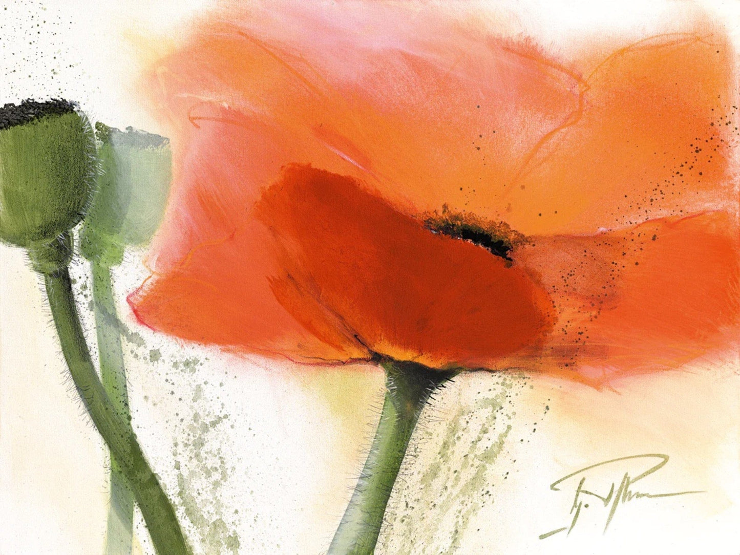 PGM PMG 03 Gerd Pflumm Faszination Mohn III Kunstdruk 80x60cm | Posters.nl