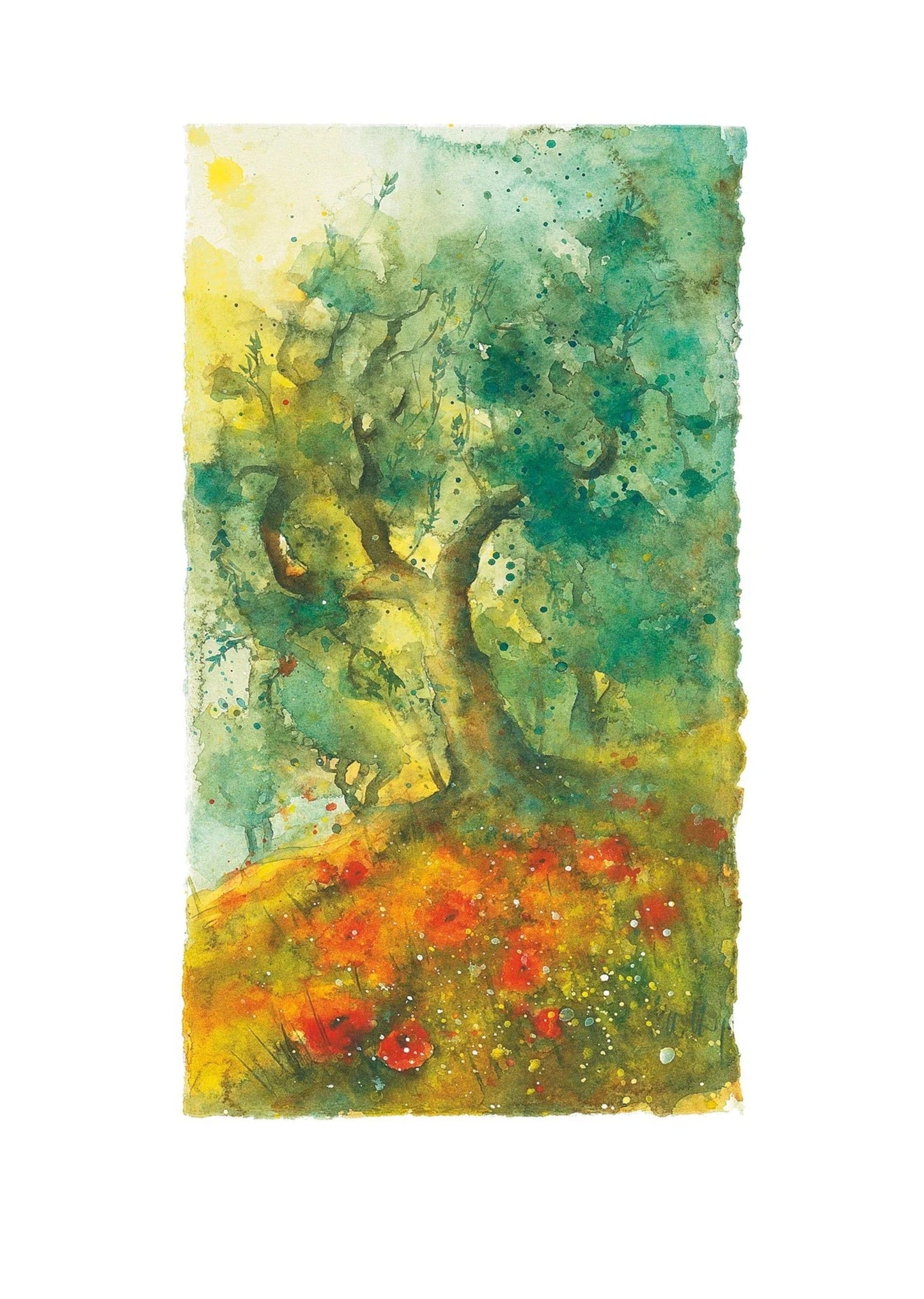 PGM UHA 02 Ulrich Hartig Oliven und Mohn Kunstdruk 50x70cm | Posters.nl