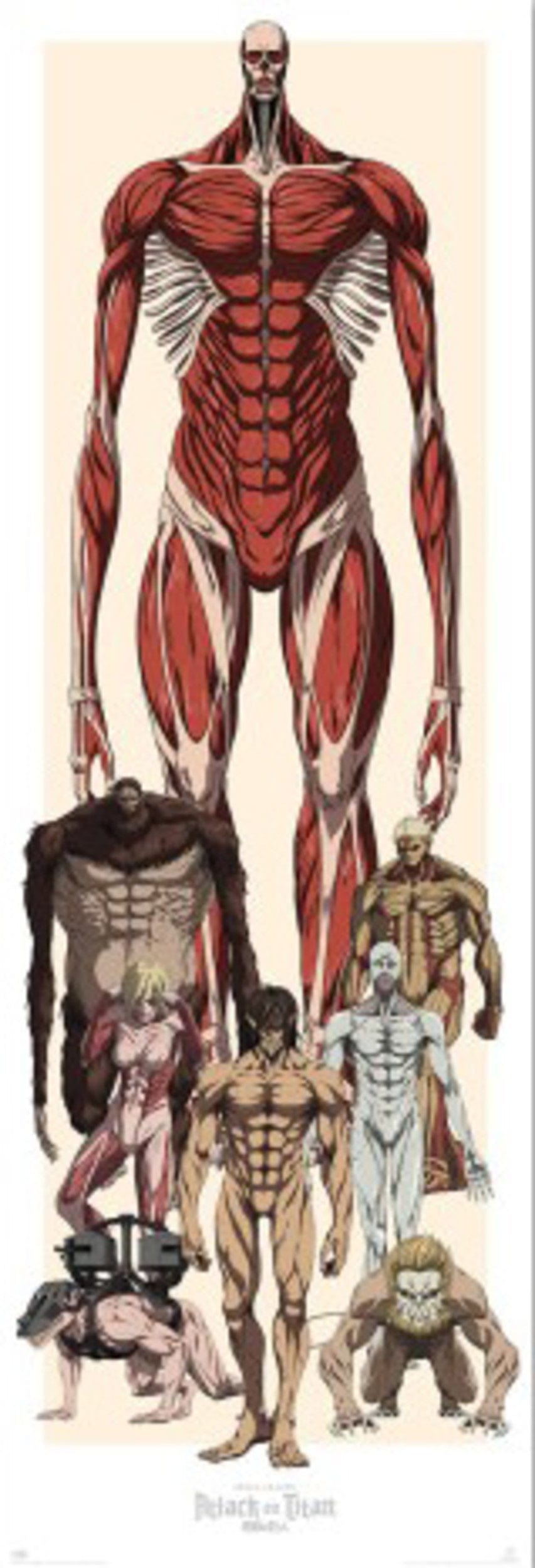 Poster Attack On Titan 53x158cm Grupo Erik PPGE8120 | Posters.nl