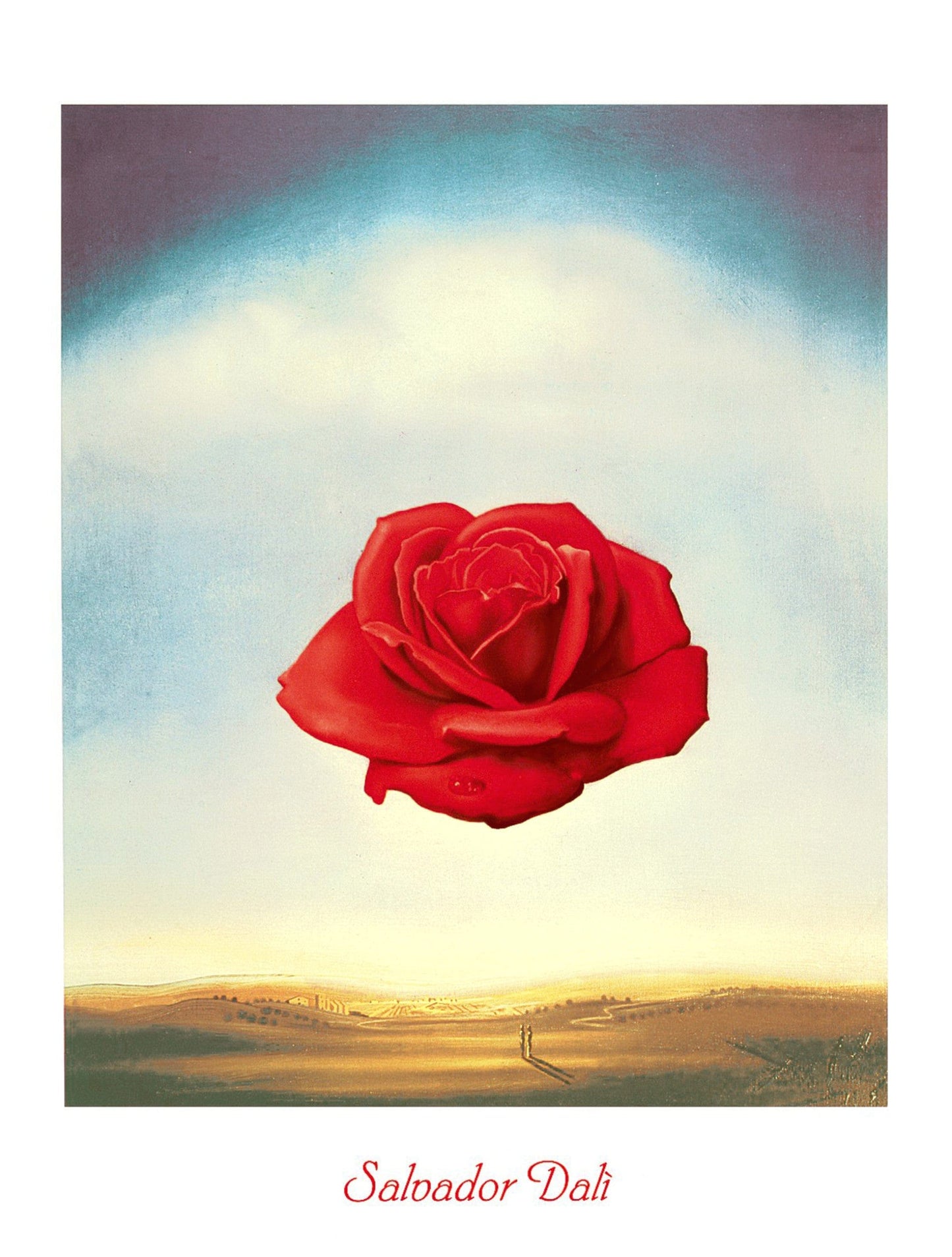 Salvador Dali  Rose meditative Kunstdruk 60x80cm | Posters.nl