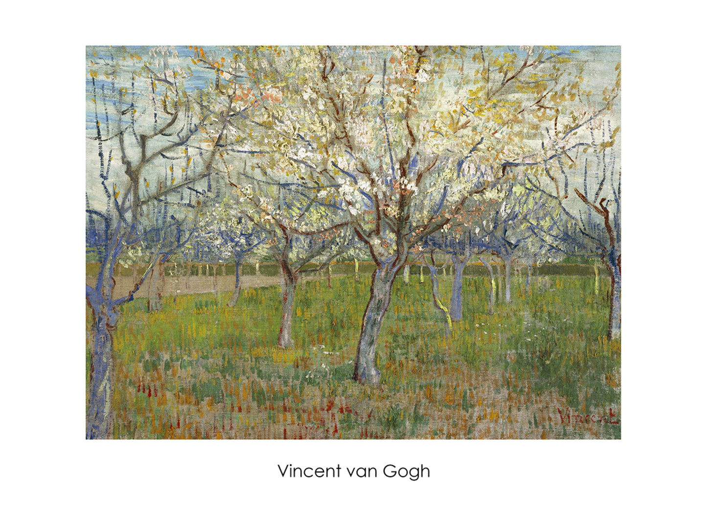 Kunstdruk Vincent van Gogh - The Orchard 70x50cm