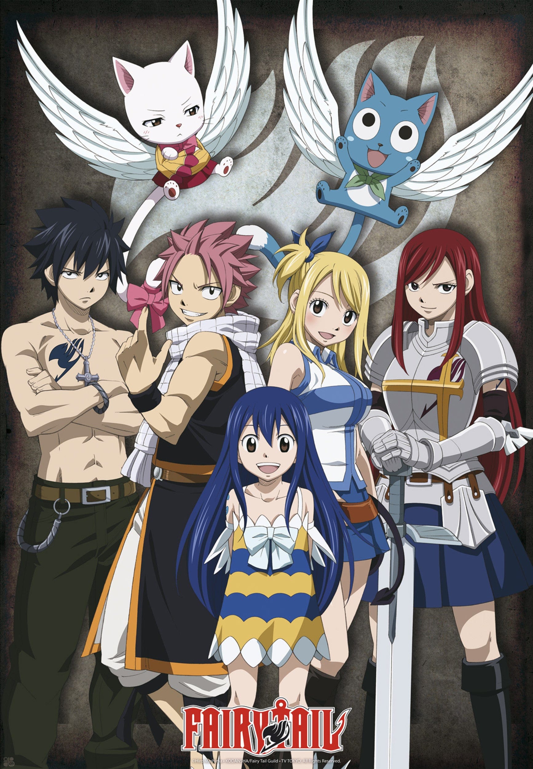 Fairy Tail Group Poster 61X91 5cm | Posters.nl