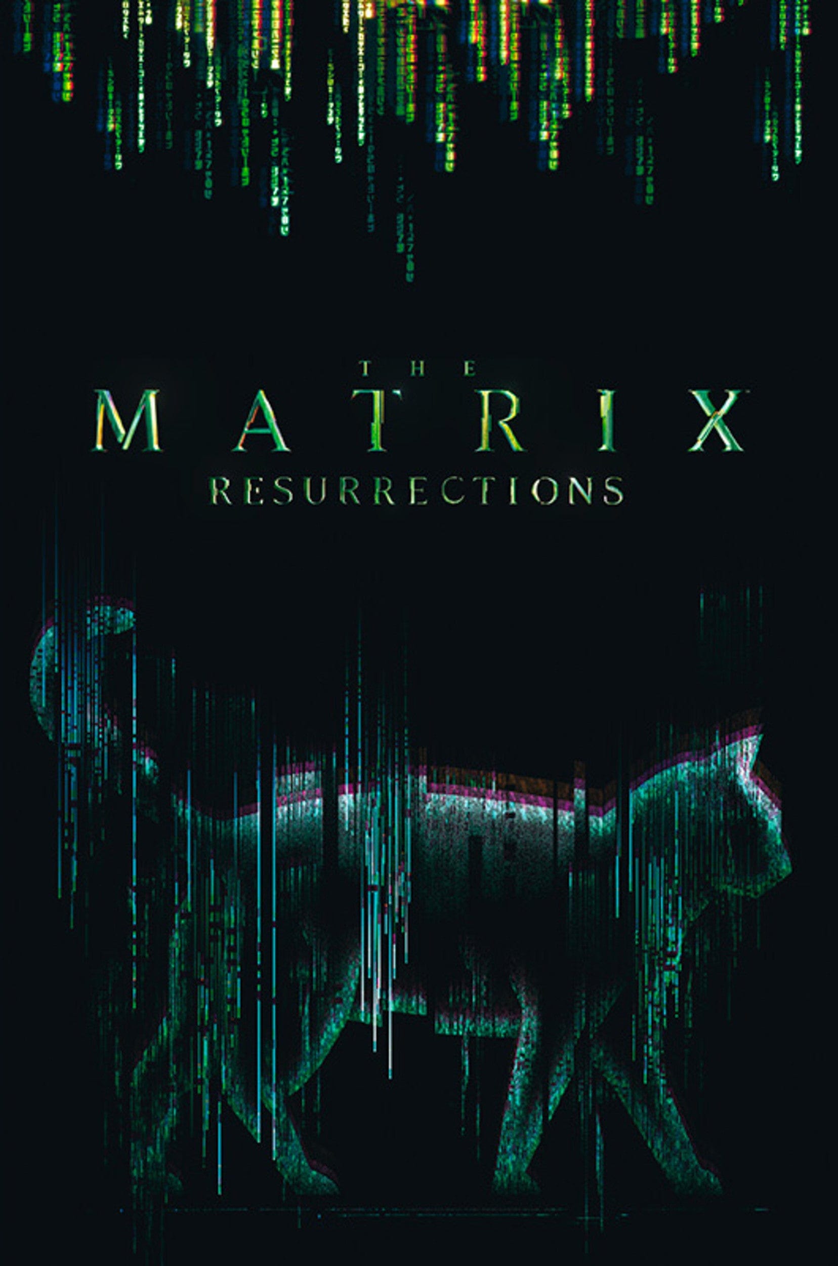 Abystyle Abydco864 The Matrix Cat Poster 61x91,5cm | Posters.nl