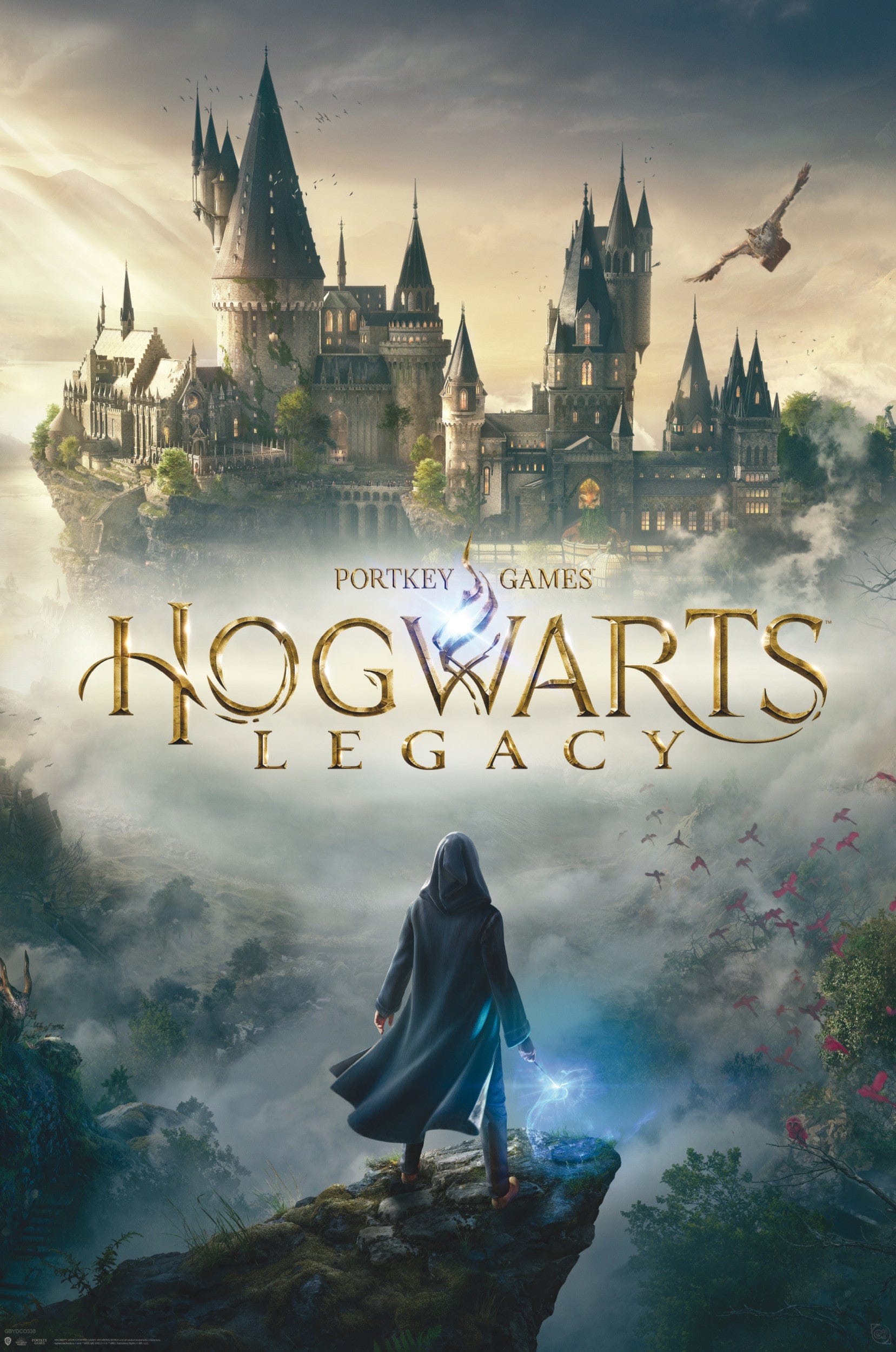 Gbeye Gbydco338 Harry Potter Hogwarts Legacy Key Art Poster 61x91 5cm | Posters.nl