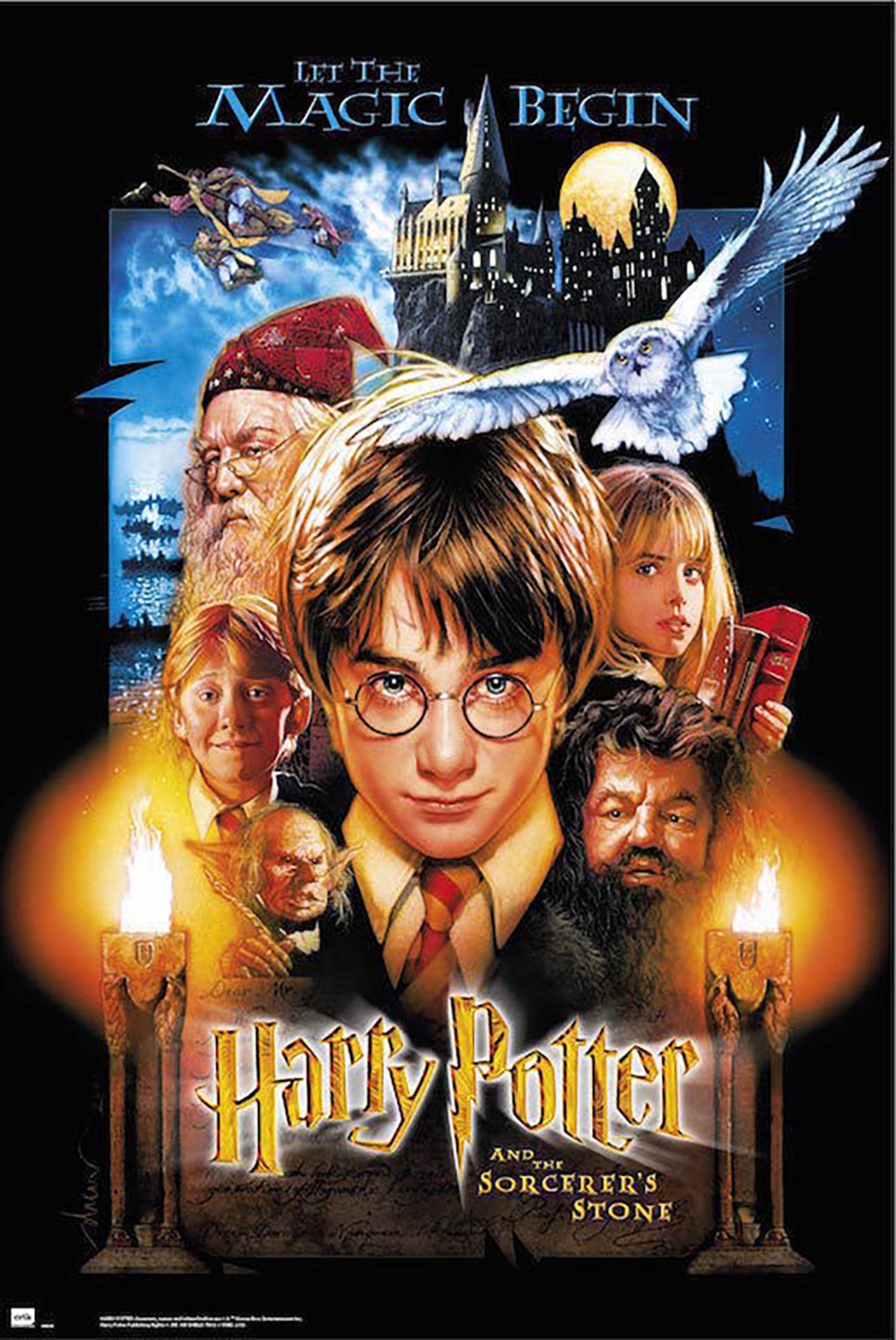 Grupo Erik GPE5054 Harry Potter And The Sorcerers Stone Poster 61X91,5cm | Posters.nl
