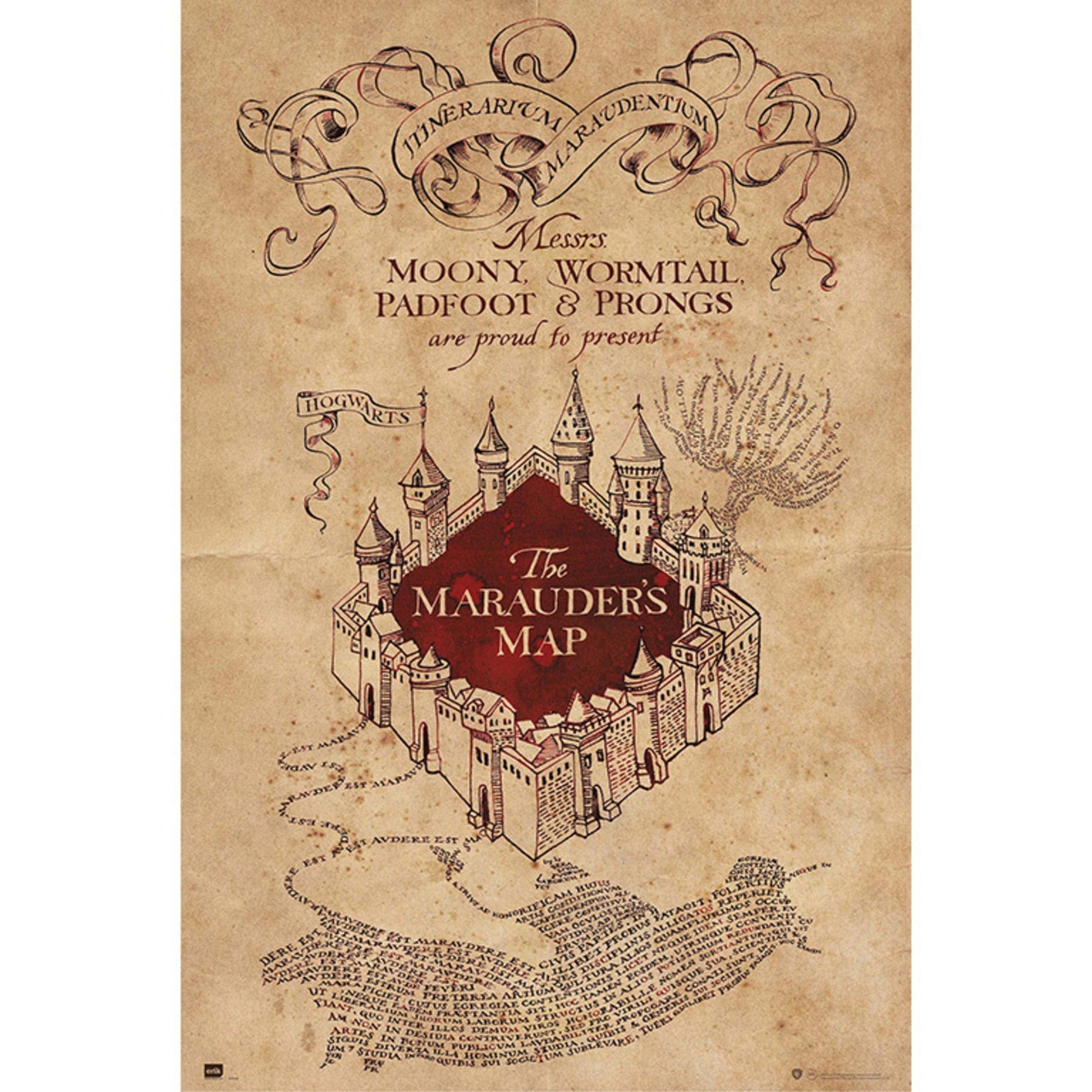 Grupo Erik GPE5159 Harry Potter The Marauders Map Poster 61X91,5cm | Posters.nl