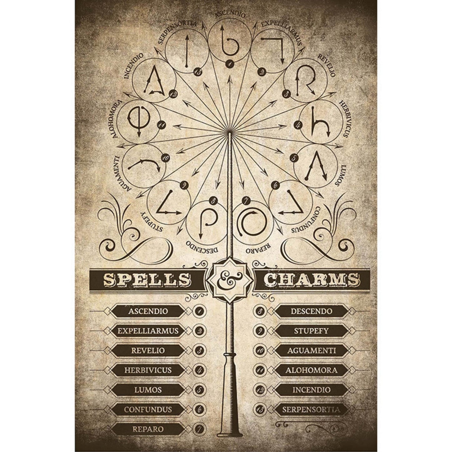 Grupo Erik GPE5160 Harry Potter Spells And Charms Poster 61X91,5cm | Posters.nl