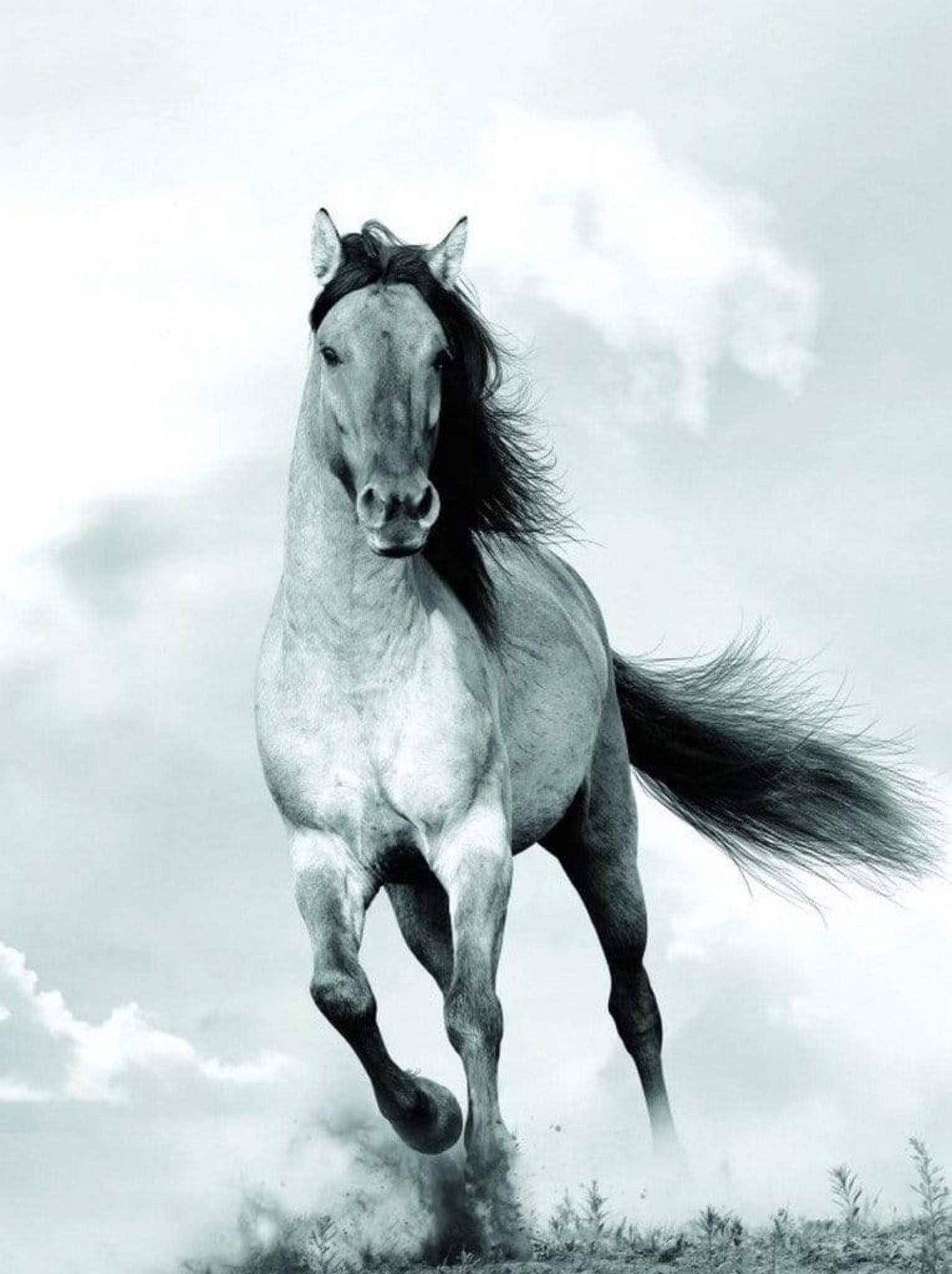 Blonde Attitude Mane in the wind Kunstdruk 60x80cm | Posters.nl