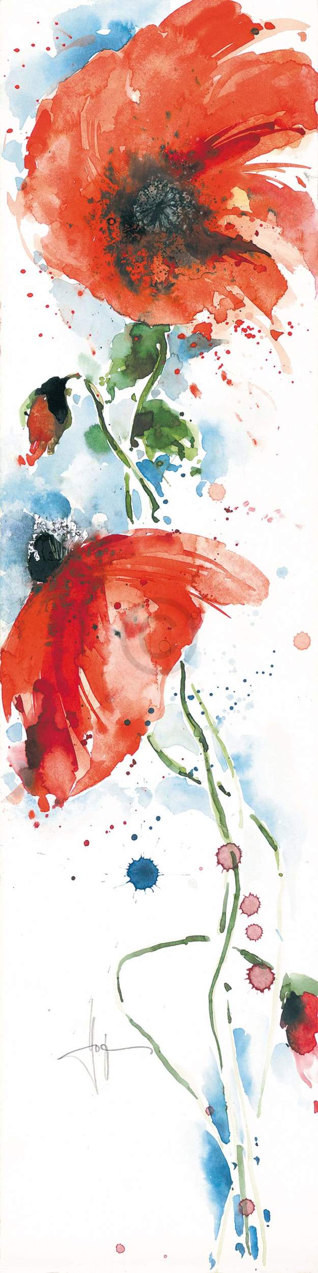 Ekkehard Hofmann  Mohn II Kunstdruk 20x99cm | Posters.nl