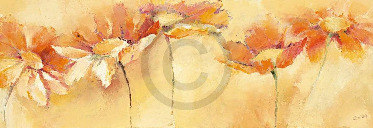 Elena Filatov Feldblumenparade Kunstdruk 99x34cm | Posters.nl