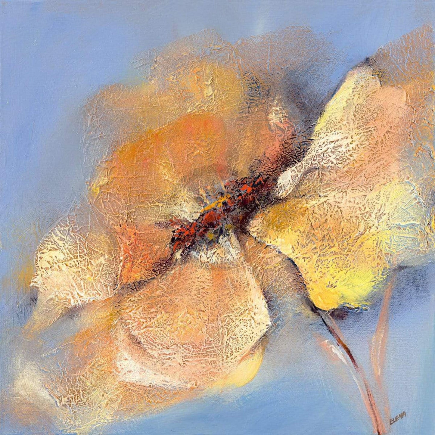 Elena Filatov Bright Anemone I Kunstdruk 50x50cm | Posters.nl