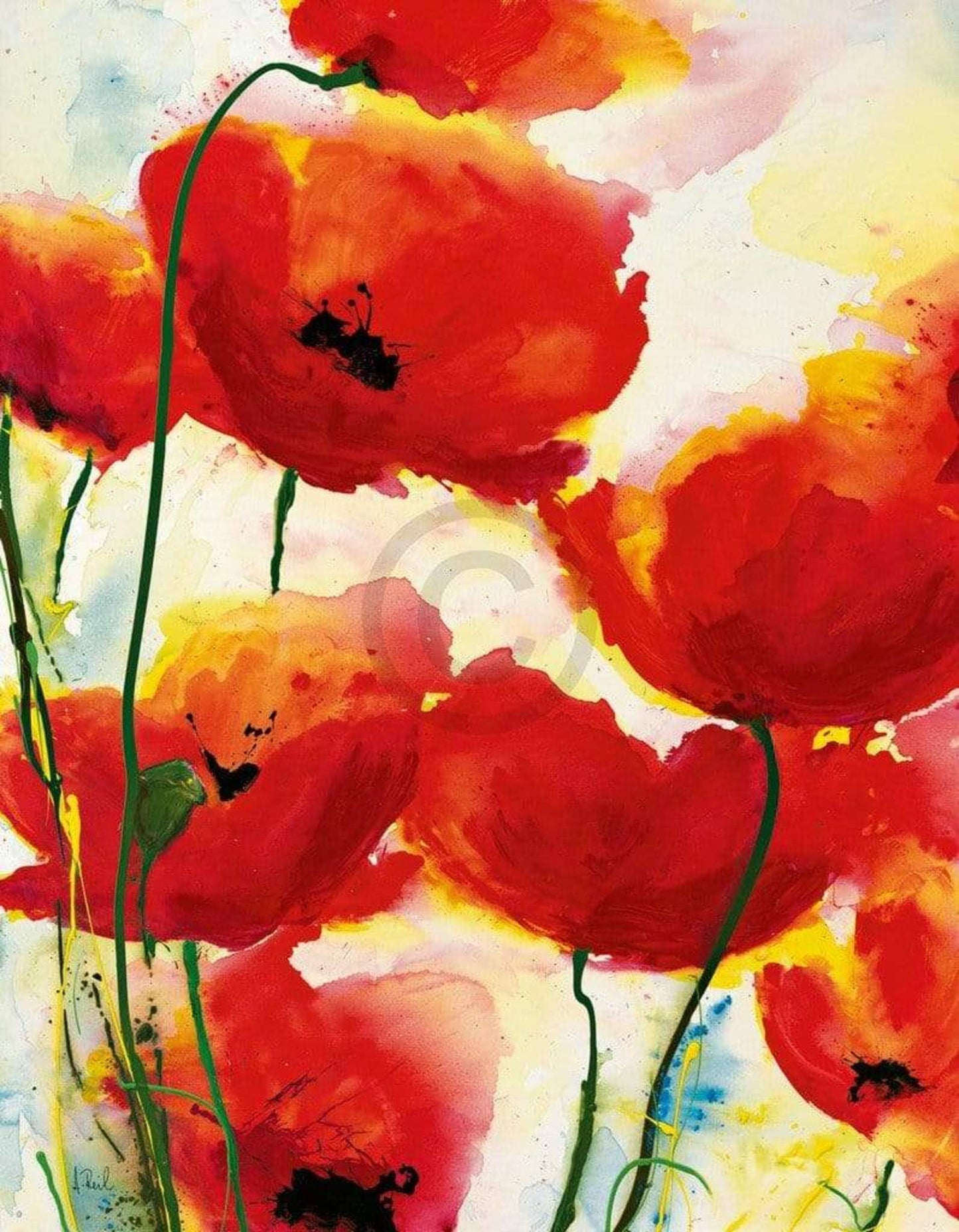 Heidi Reil Roter Mohn Kunstdruk 70x90cm | Posters.nl