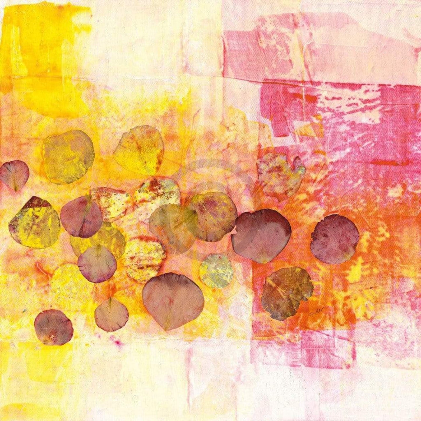 Katja Spilker Rosenblühen Kunstdruk 40x40cm | Posters.nl