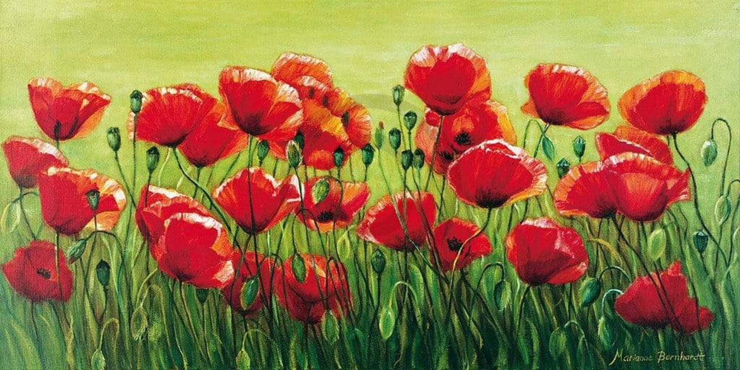 Marianne Bernhardt Klatschmohnwiese Kunstdruk 100x50cm | Posters.nl