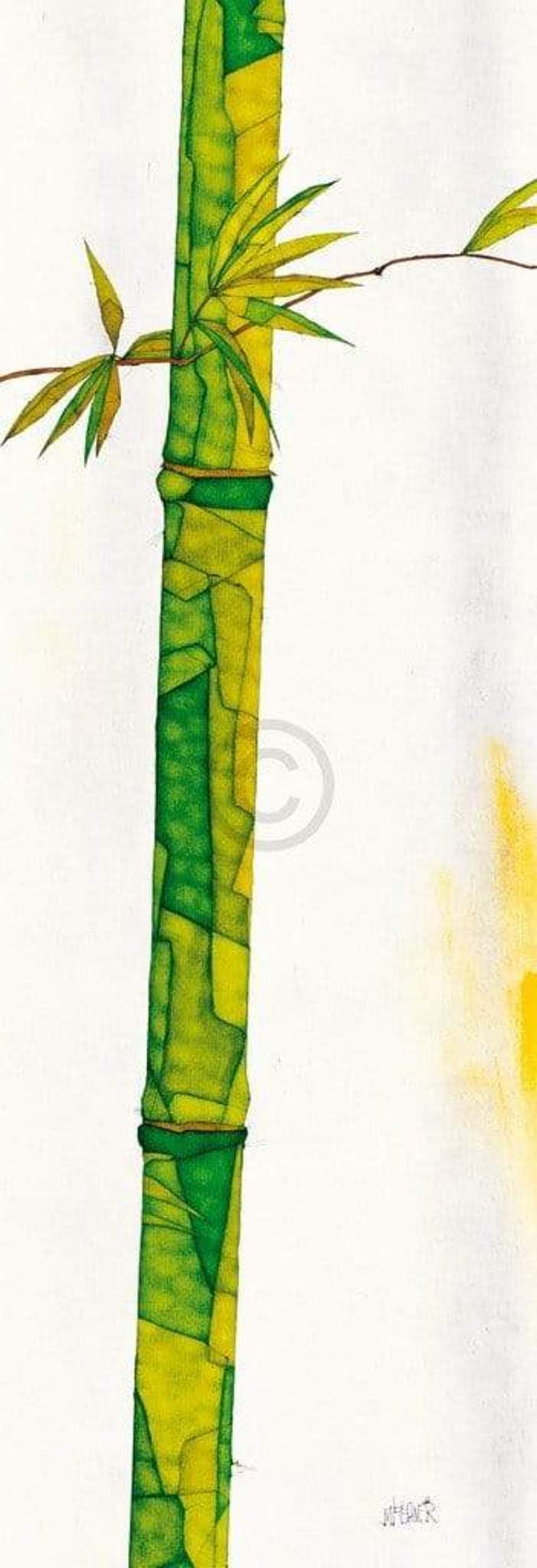 Michael Ferner  Bambus Duo II Kunstdruk 34x99cm | Posters.nl