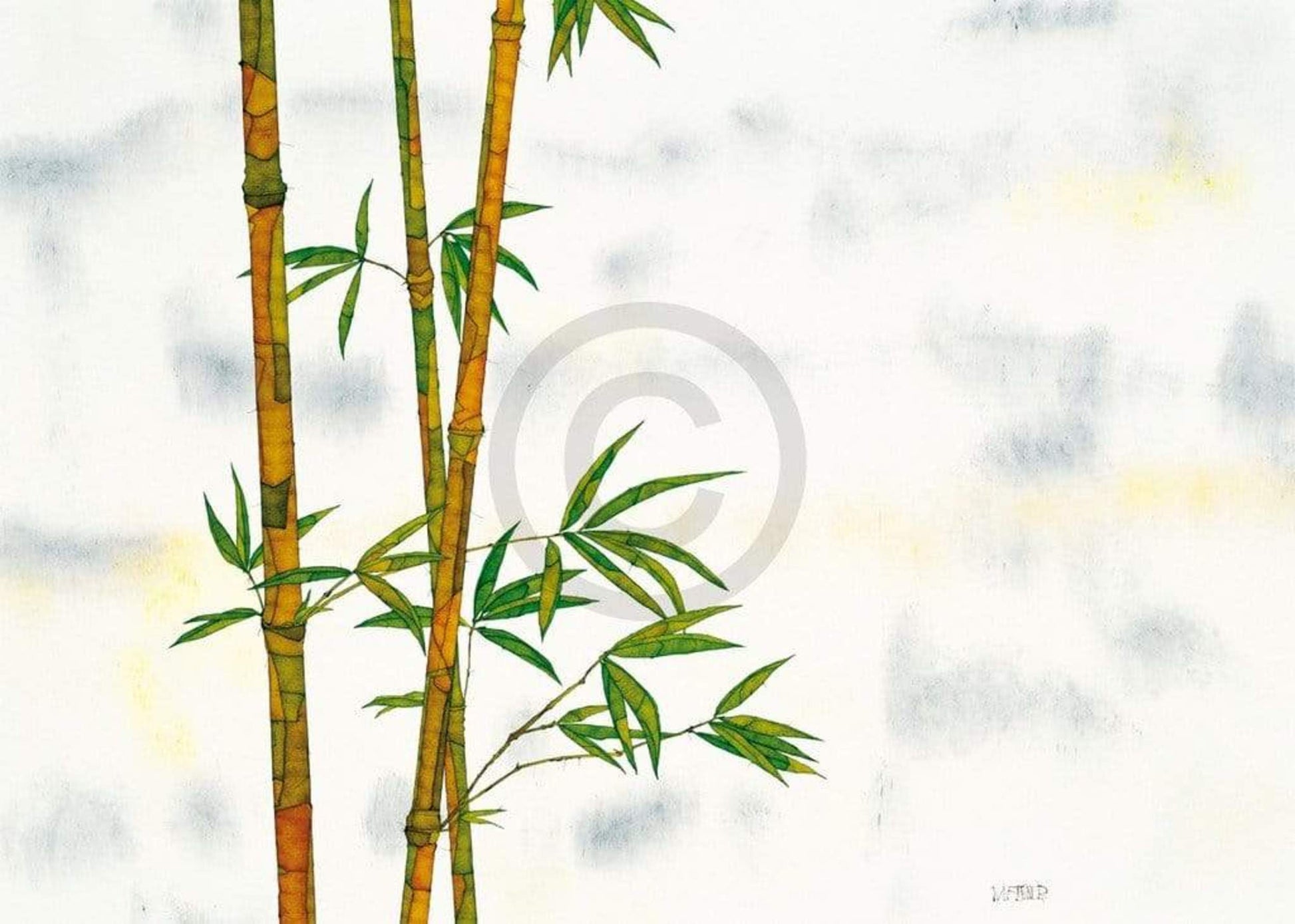 Michael Ferner  Bambus Kunstdruk 70x50cm | Posters.nl