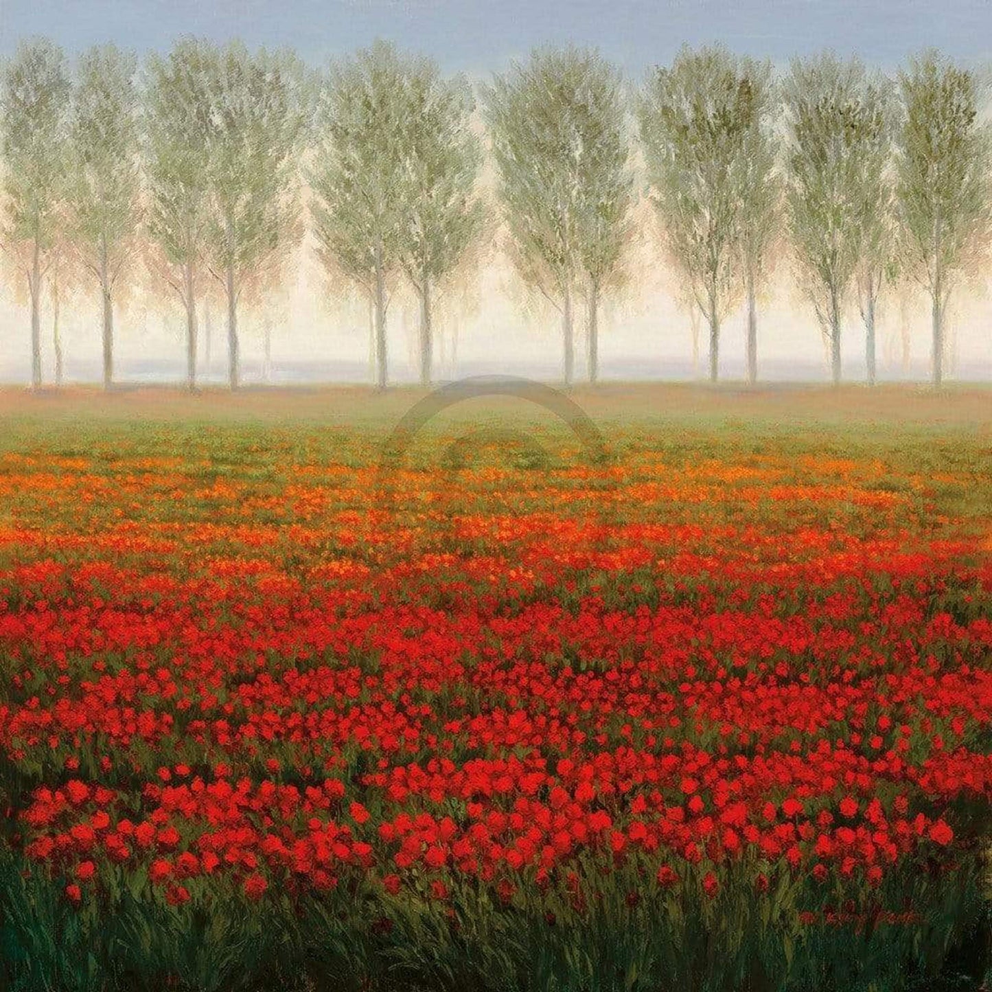 Park  Morning Mist Kunstdruk 68x68cm | Posters.nl
