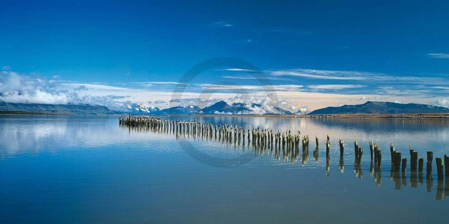 Popp Hackner  Kormoräne Kunstdruk 100x50cm | Posters.nl