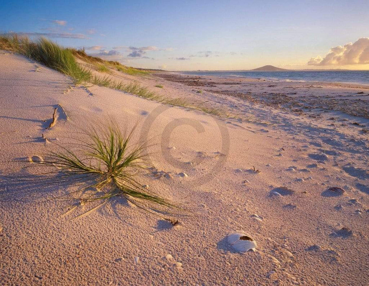 Popp Hackner Northland Karikari Bay Kunstdruk 90x70cm | Posters.nl