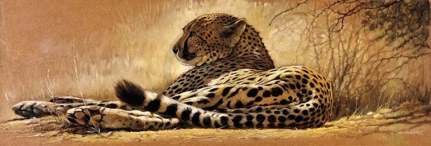 Renato Casaro Little rest Kunstdruk 99x34cm | Posters.nl