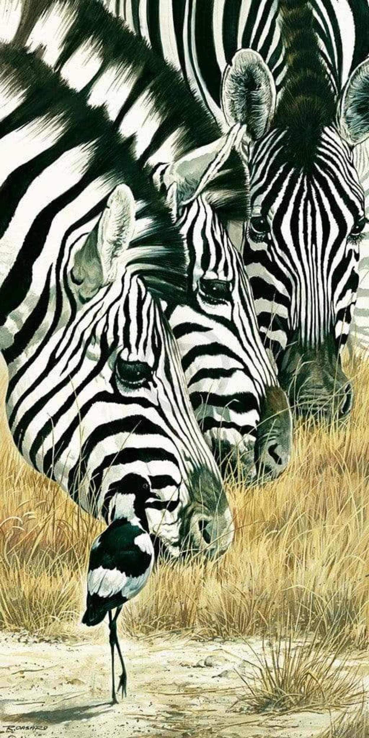 Renato Casaro Black and White Kunstdruk 50x100cm | Posters.nl