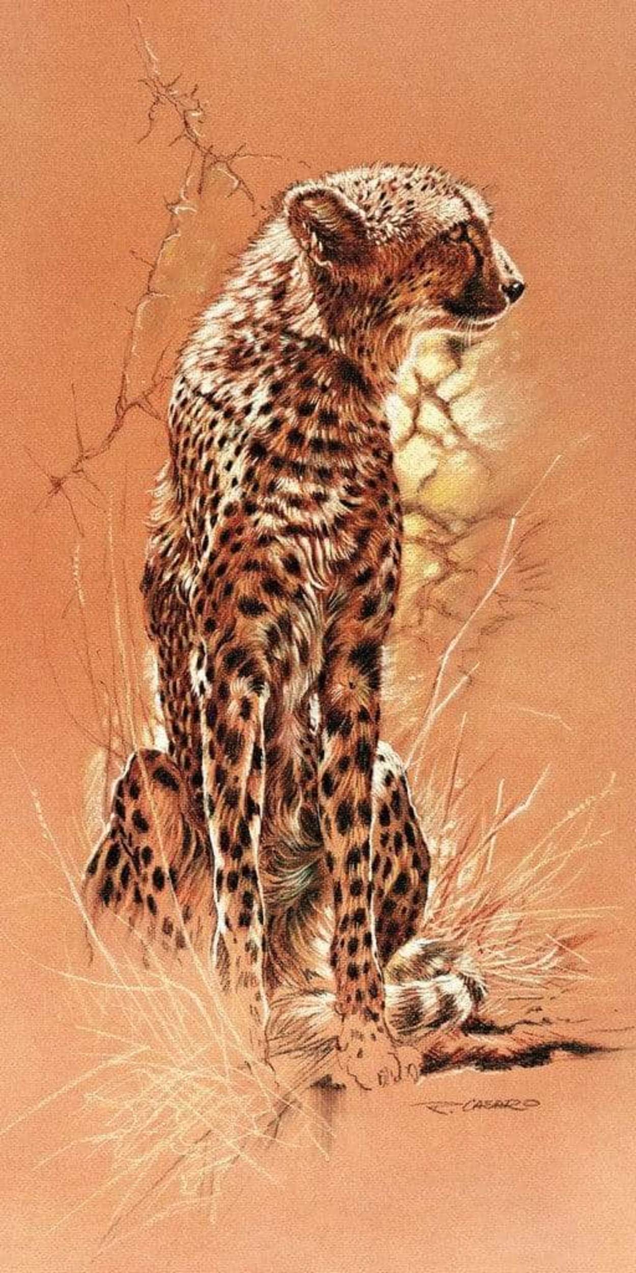 Renato Casaro Cheetah Kunstdruk 50x100cm | Posters.nl