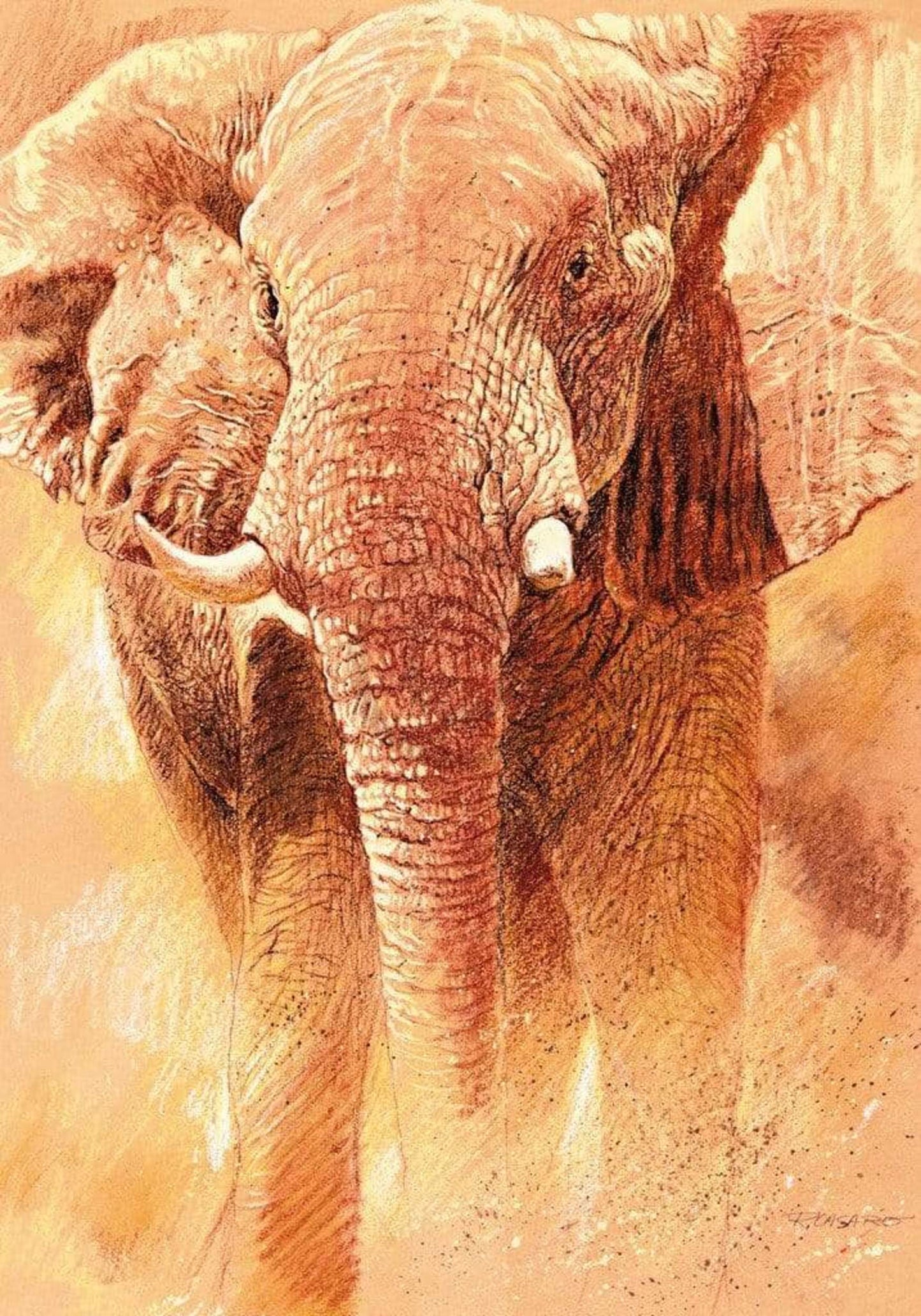 Renato Casaro Elefant Study Kunstdruk 70x100cm | Posters.nl