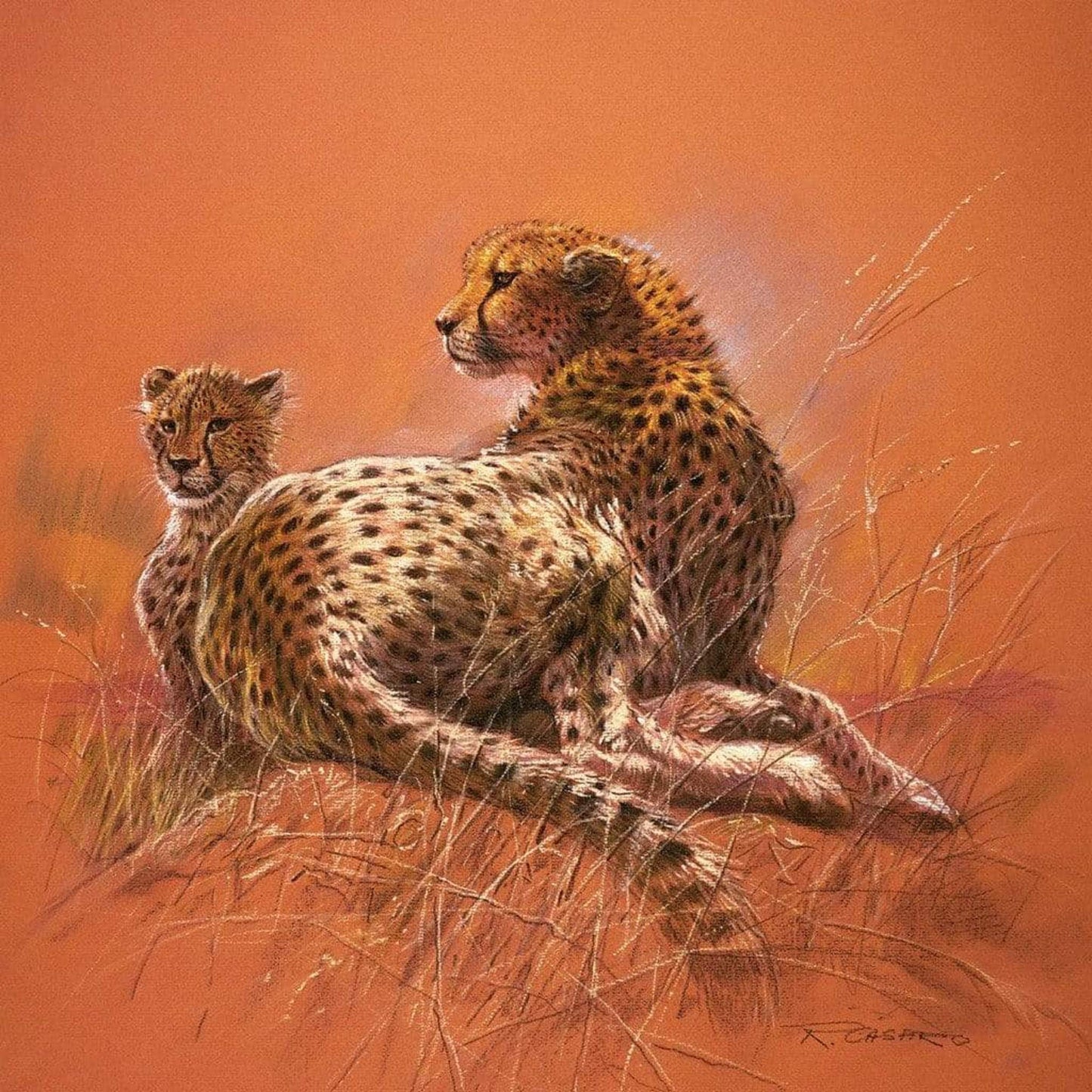 Renato Casaro Cheetah Mother Kunstdruk 50x50cm | Posters.nl