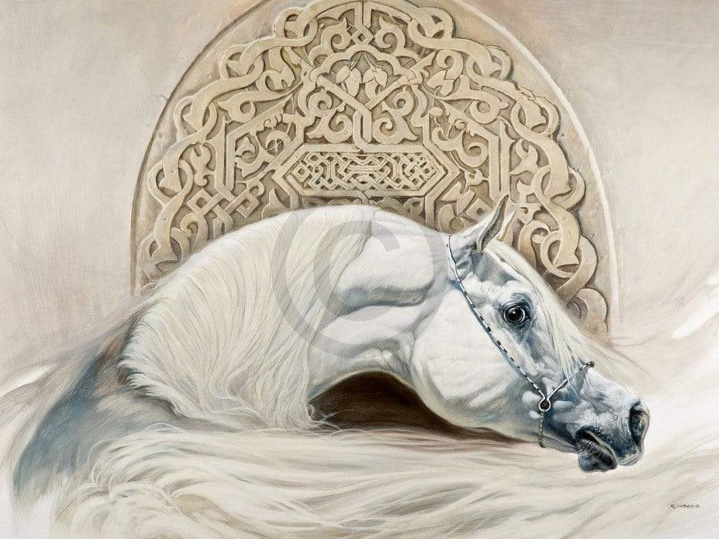Renato Casaro Arabian Pride Kunstdruk 80x60cm | Posters.nl