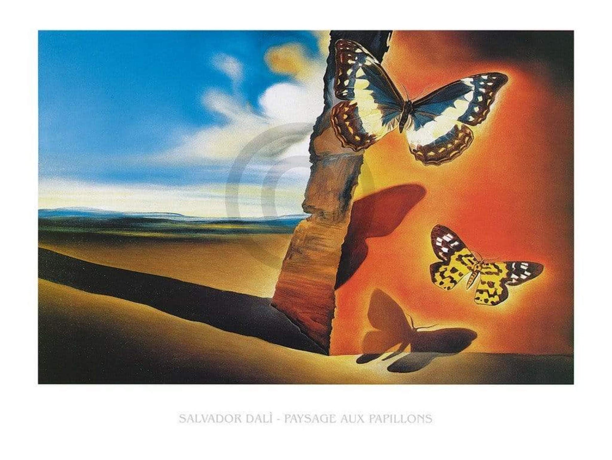 Salvador Dali  Paysage aux Papillons Kunstdruk 80x60cm | Posters.nl