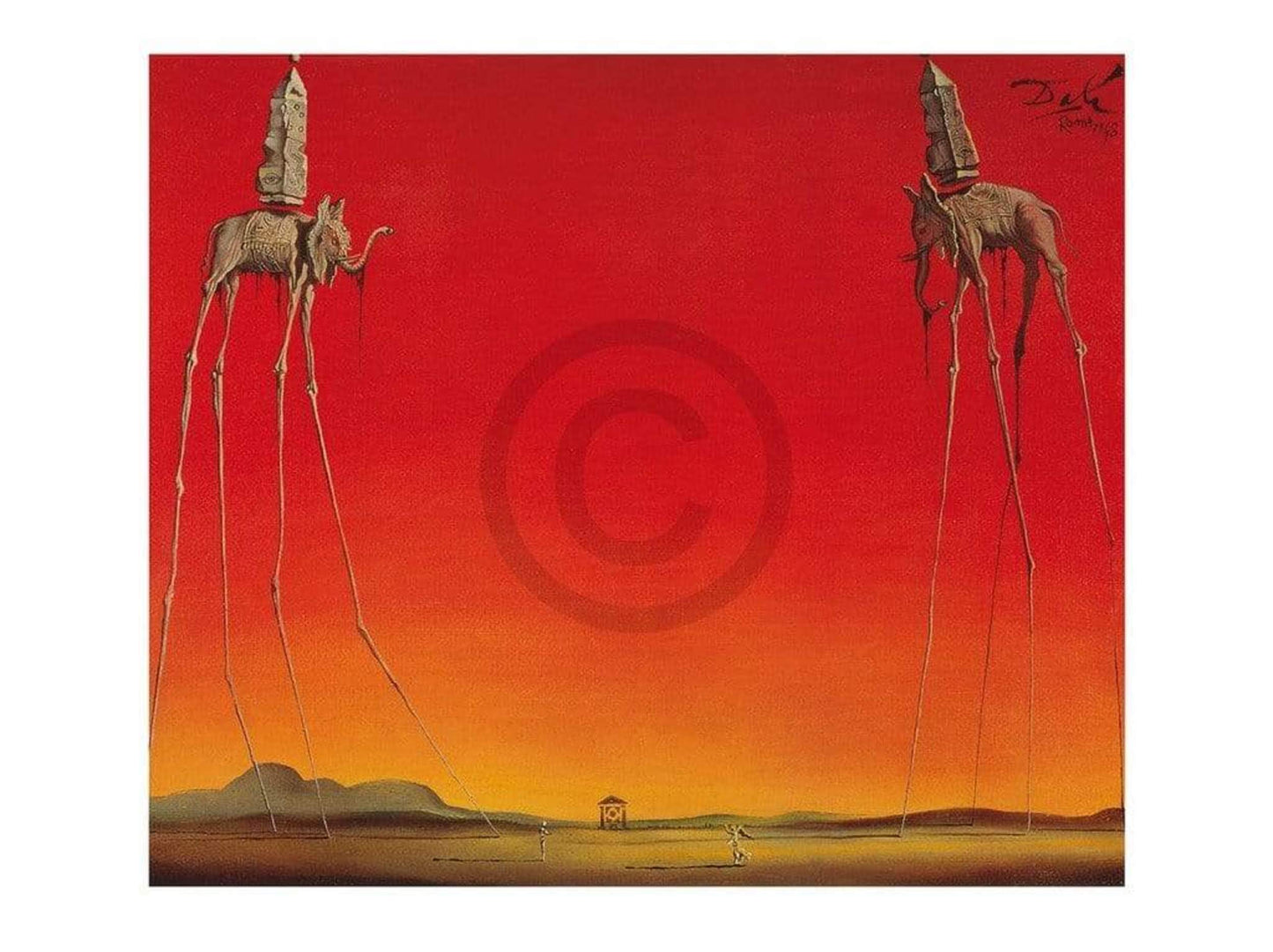 Salvador Dali Les Elephants Kunstdruk 80x60cm | Posters.nl