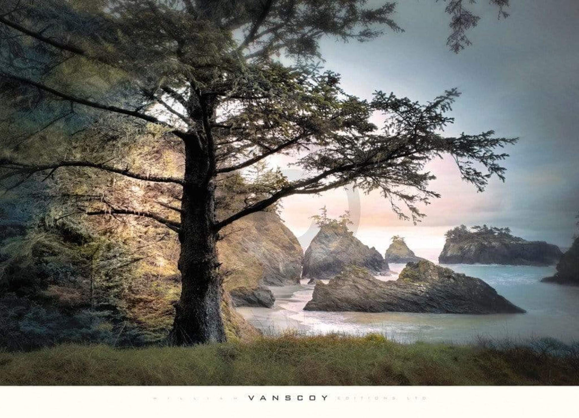 William Vanscoy  All Day Dreamer Kunstdruk 91x66cm | Posters.nl