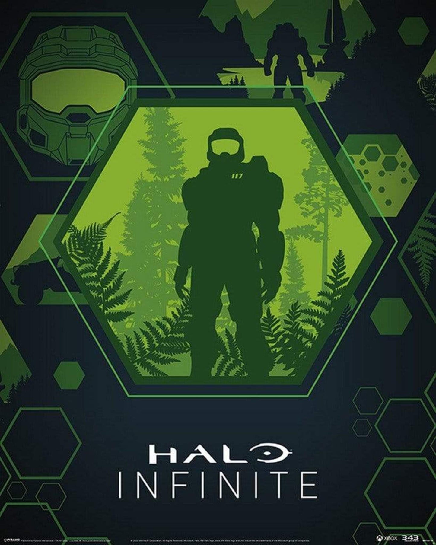 Pyramid Halo Infinite Master Chief Hex Poster 40x50cm | Posters.nl
