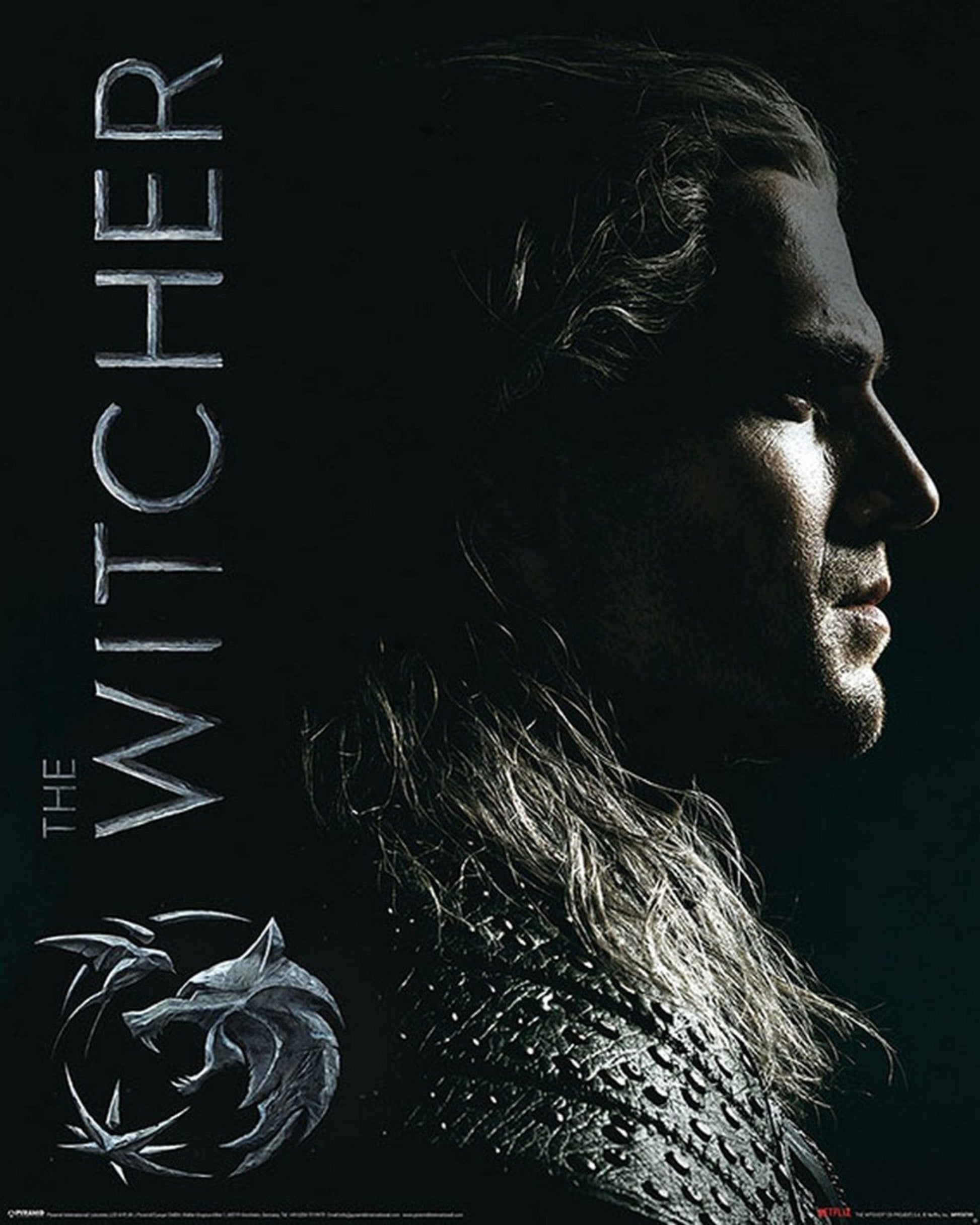 Pyramid The Witcher Shadows Embrace Poster 40X50cm | Posters.nl