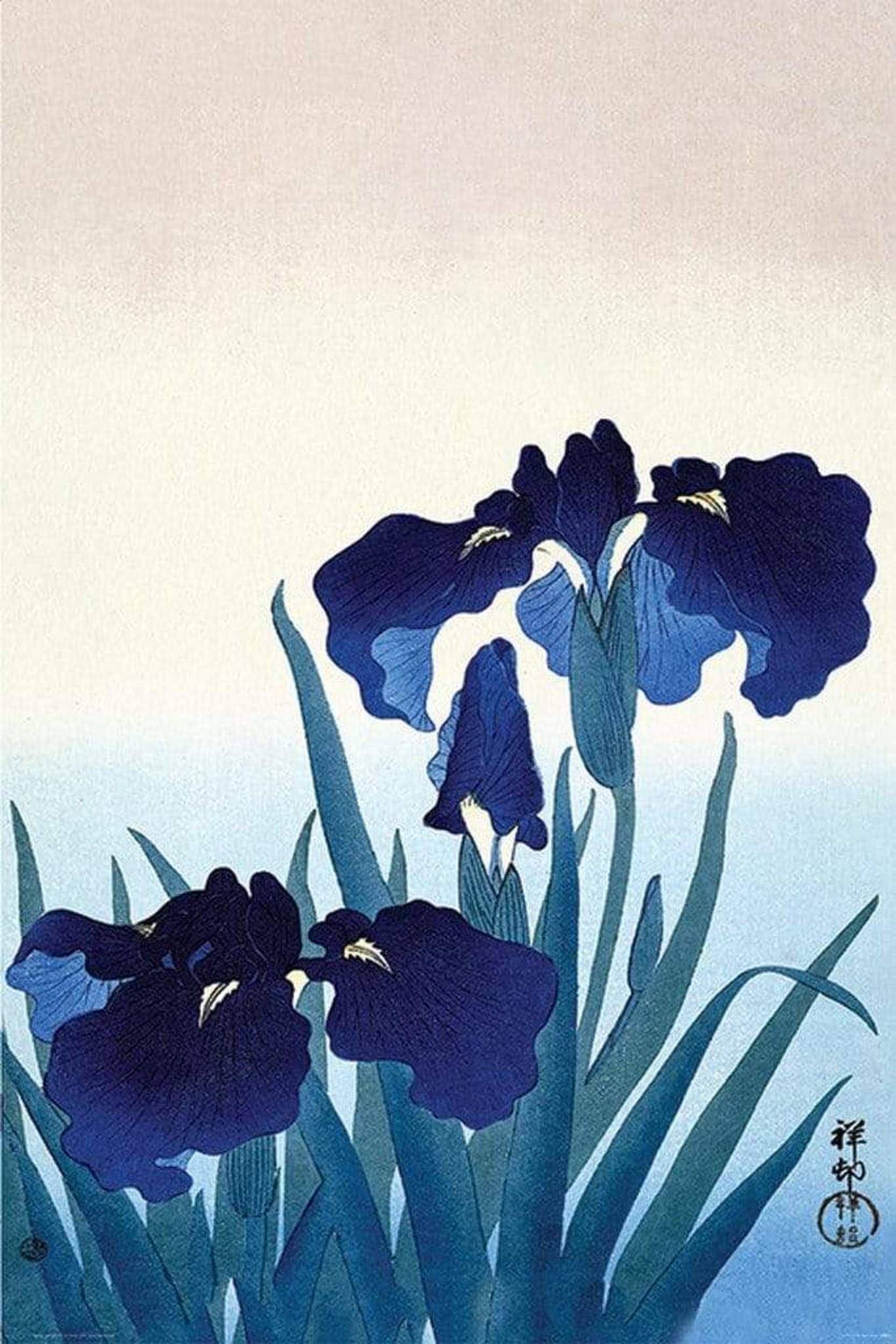 Pyramid Ohara Koson Iris Flowers Poster 61x91,5cm | Posters.nl