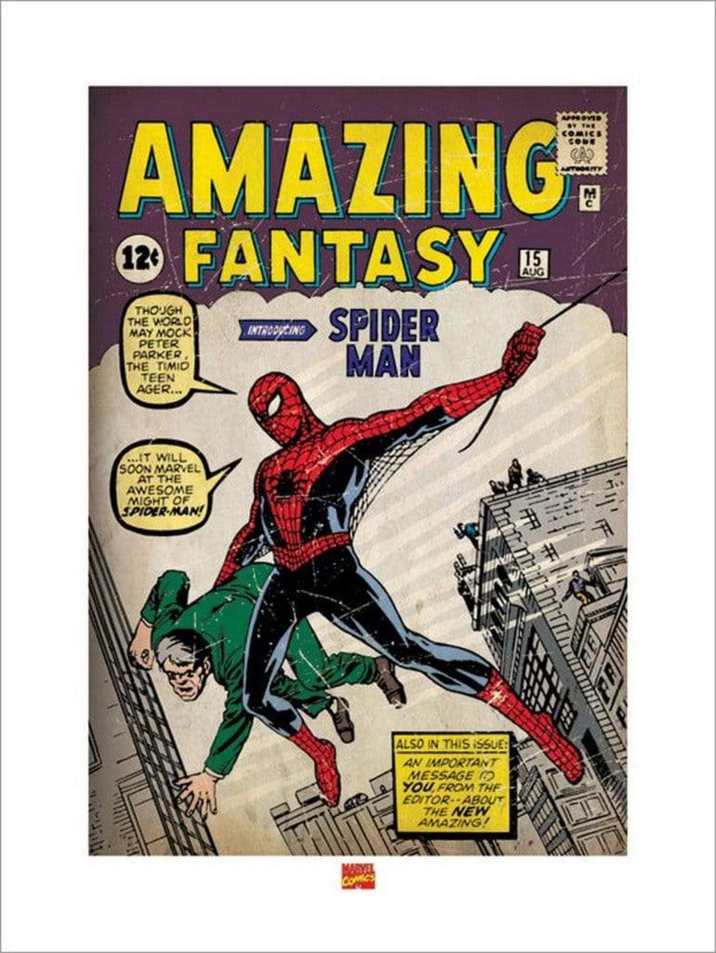 Pyramid Spider Man Issue 1 Kunstdruk 60x80cm | Posters.nl