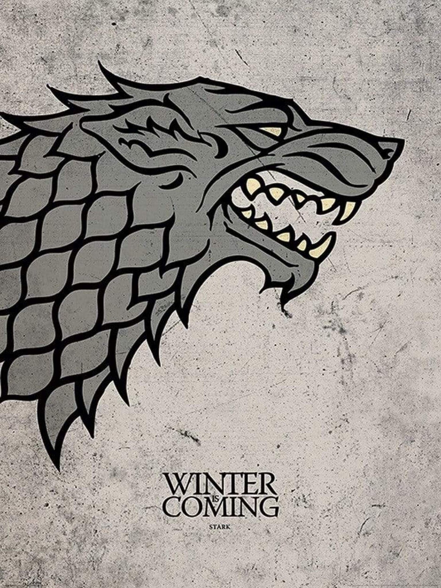 Pyramid Game of Thrones Stark Kunstdruk 60x80cm | Posters.nl