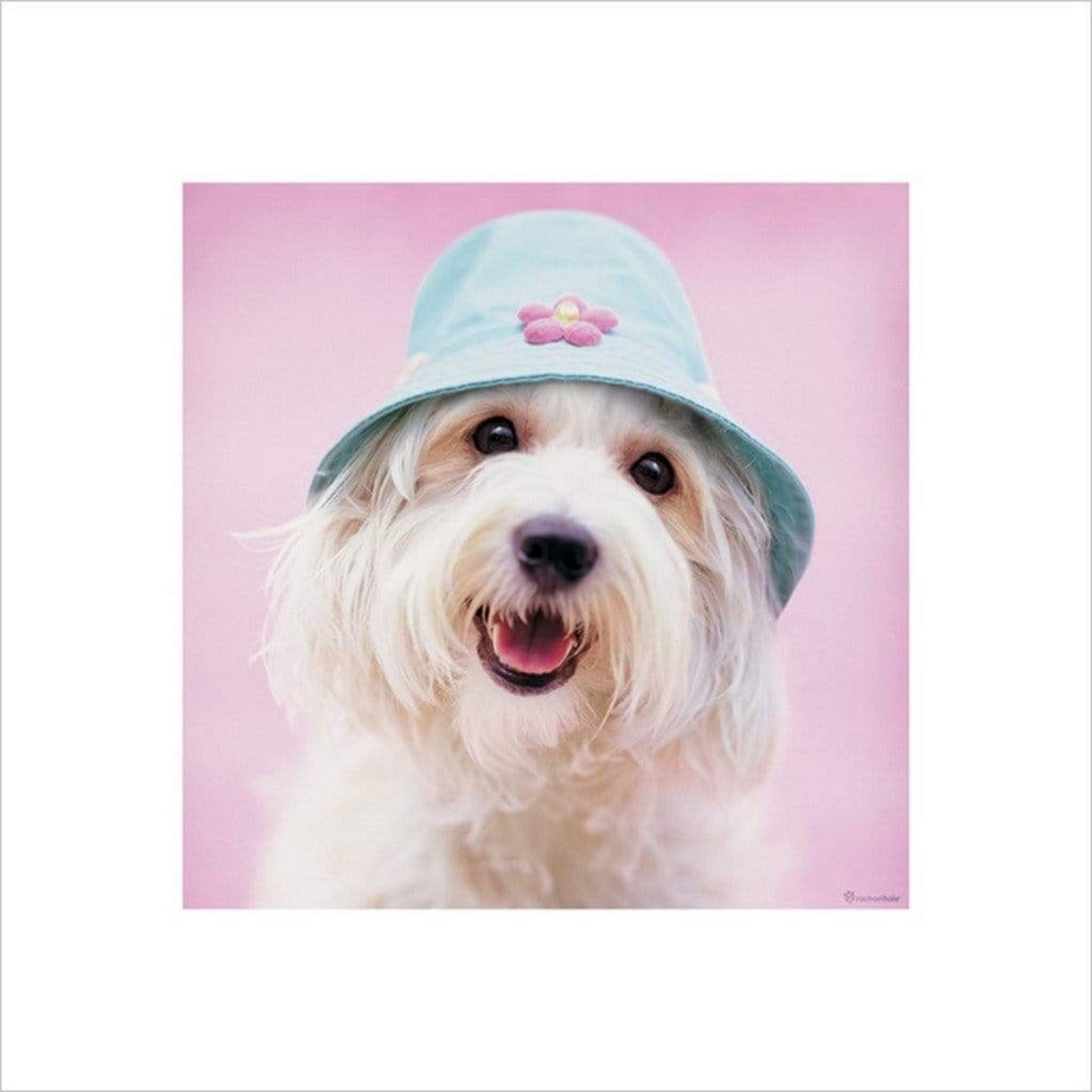 Pyramid Rachael Hale Cindy Kunstdruk 40x40cm | Posters.nl