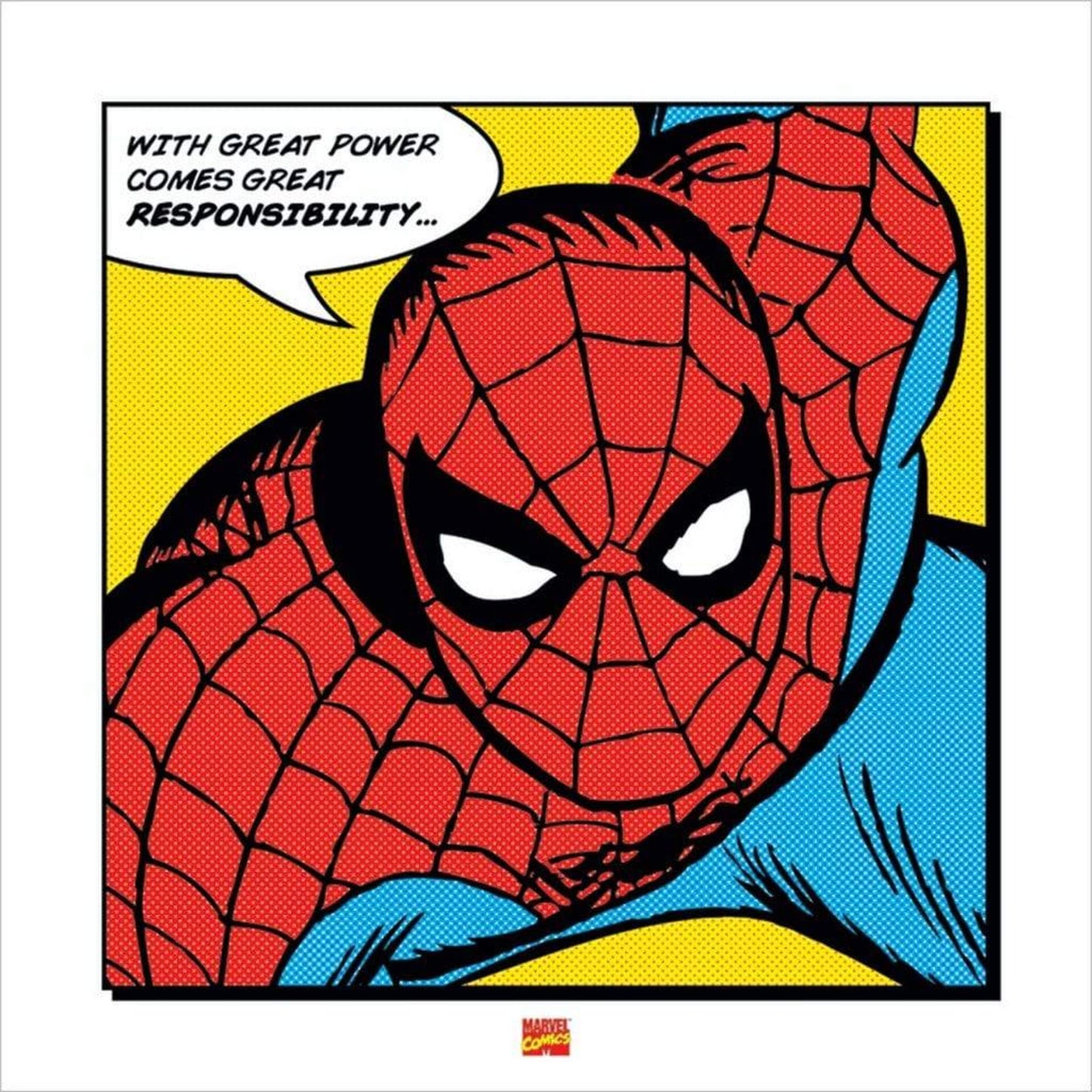 Pyramid Spider Man With Great Power Kunstdruk 40x40cm | Posters.nl